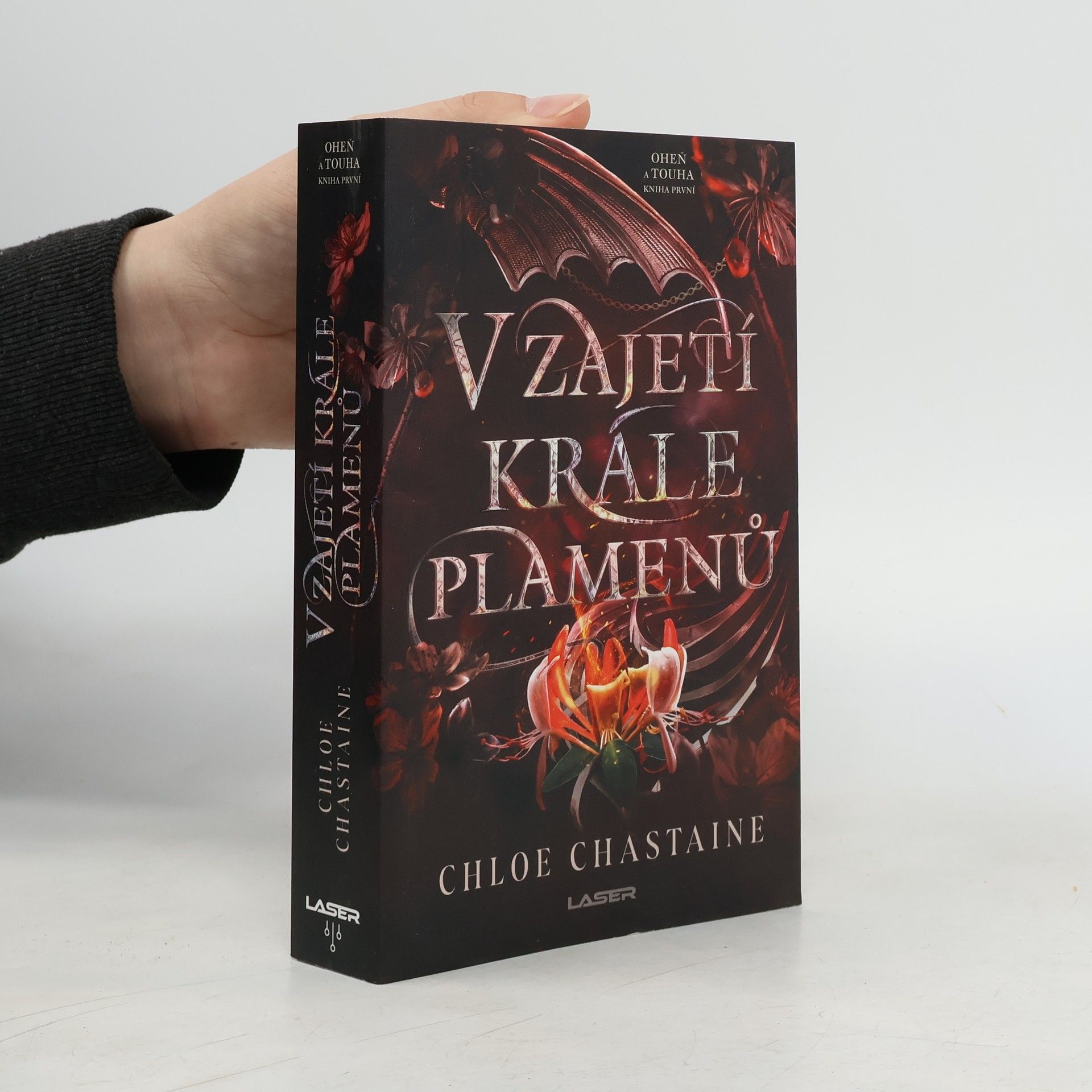 V zajetí krále plamenů