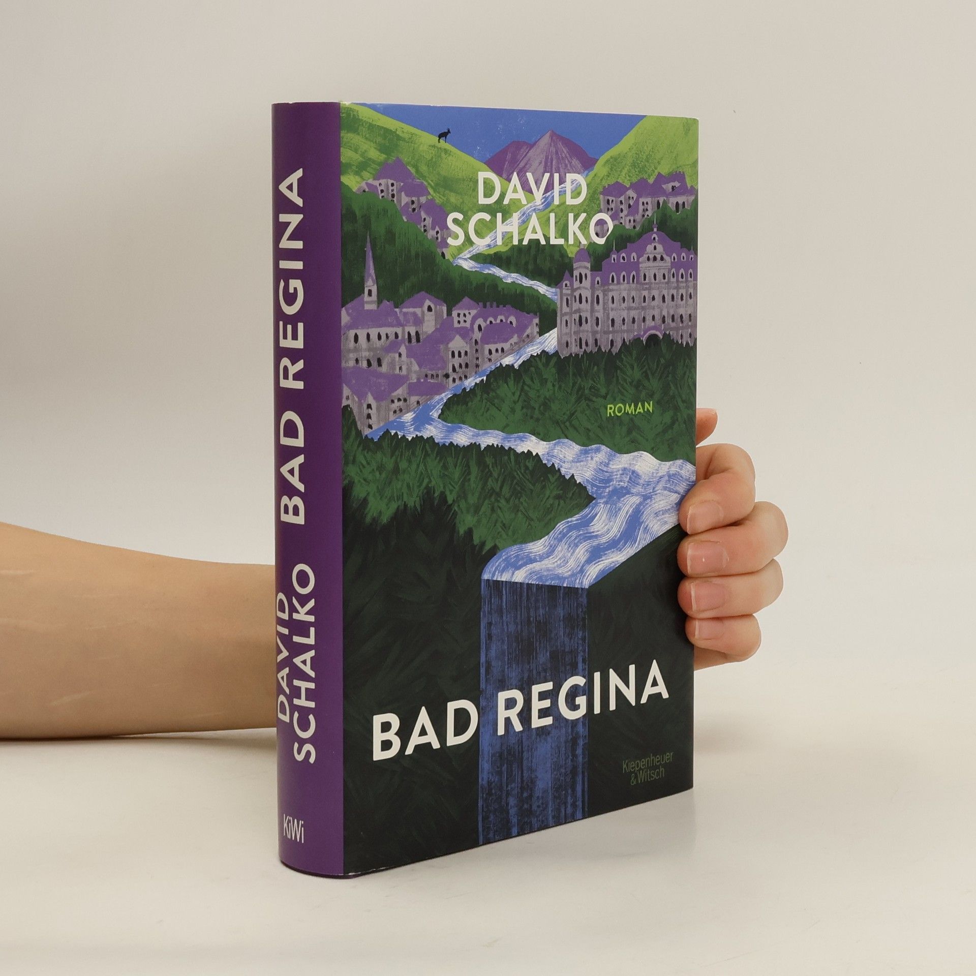 David Schalko Bad Regina