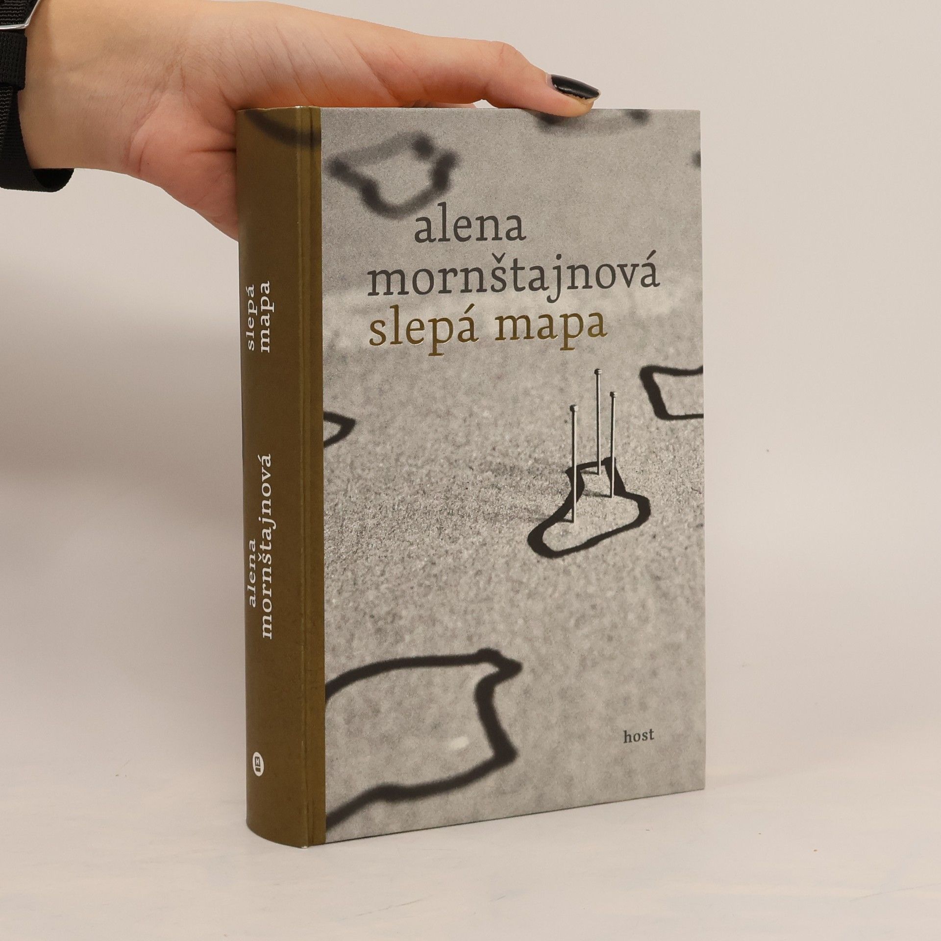 Alena Mornštajnová Slepá mapa