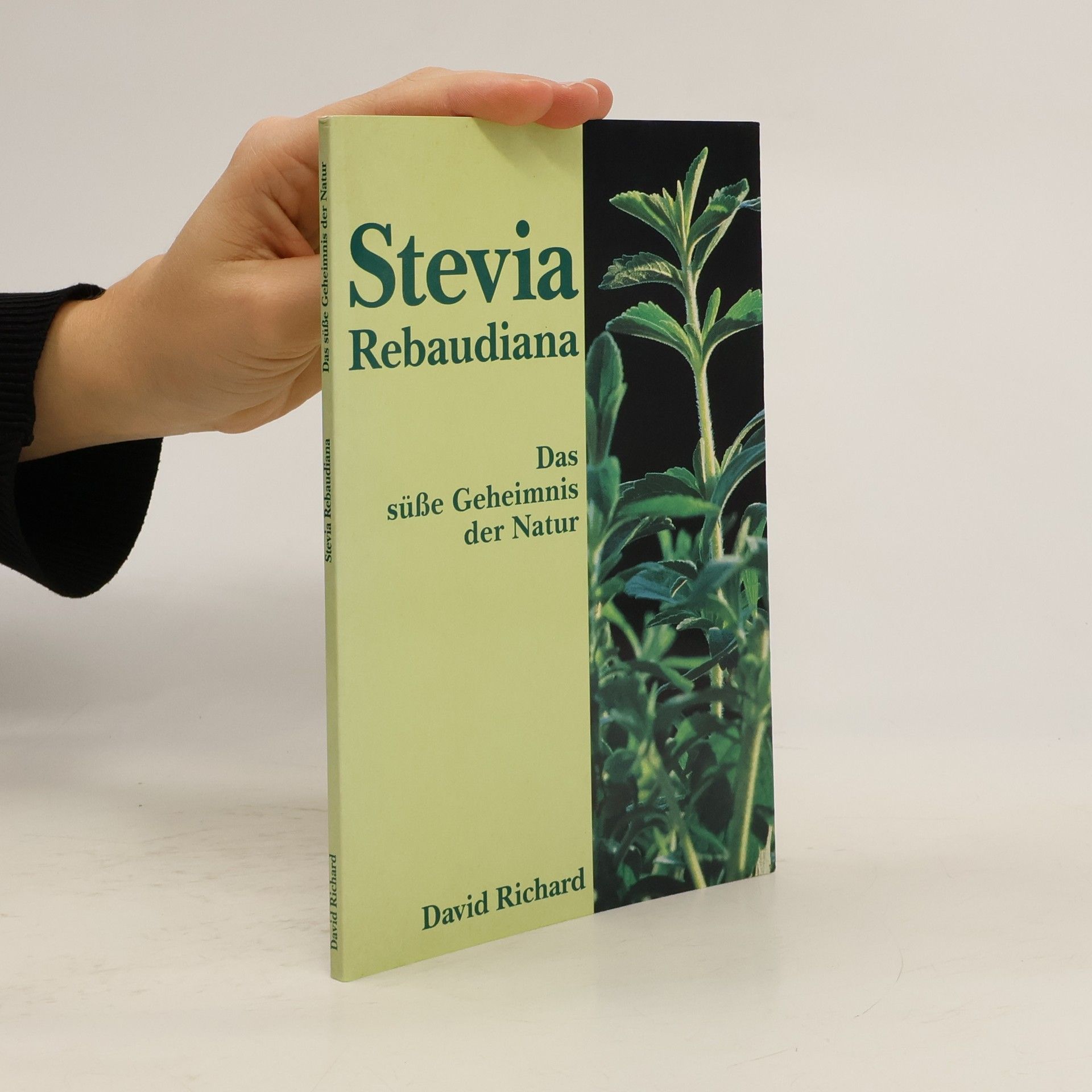 Stevia Rebaudiana