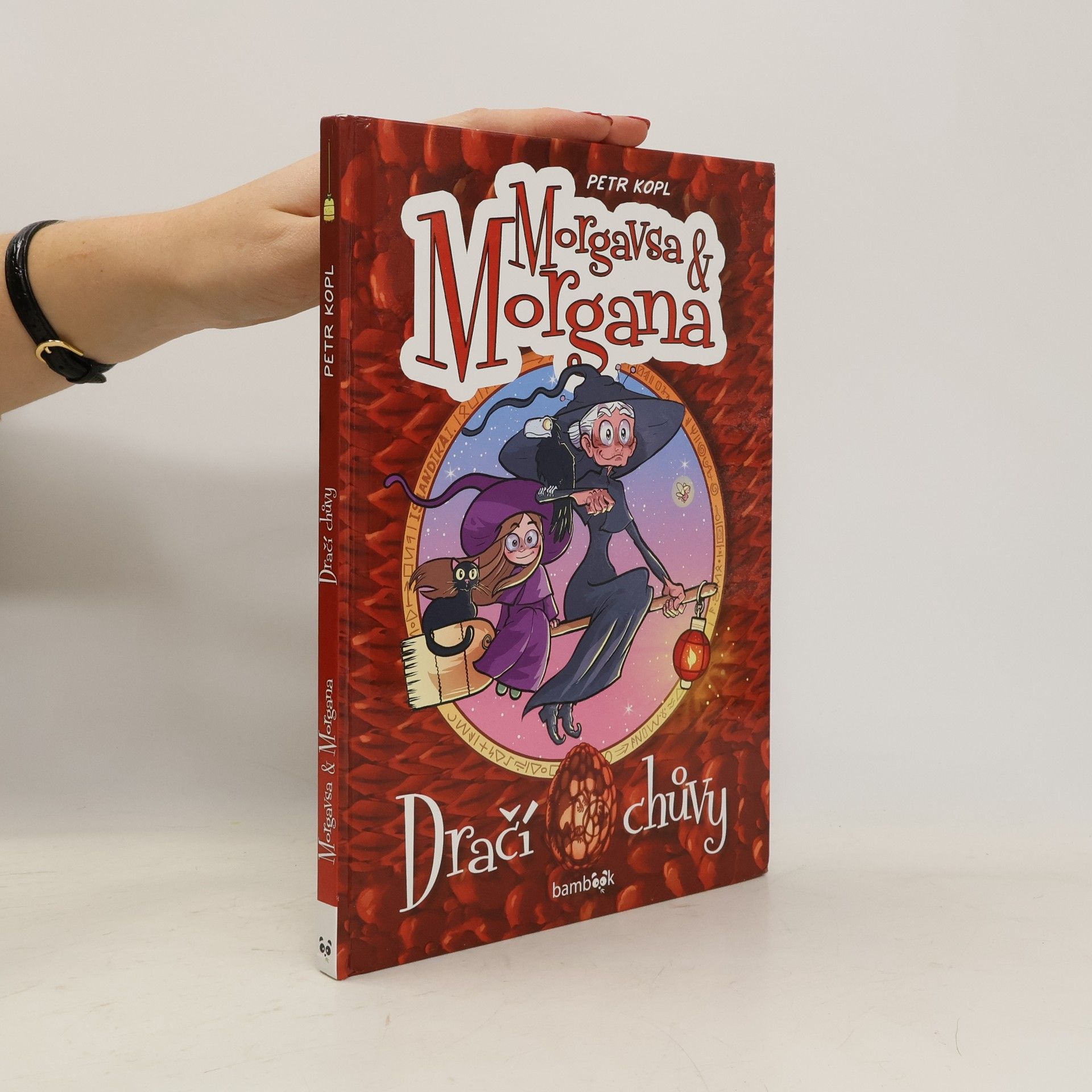 Petr Kopl Morgavsa a Morgana - Dračí chůvy