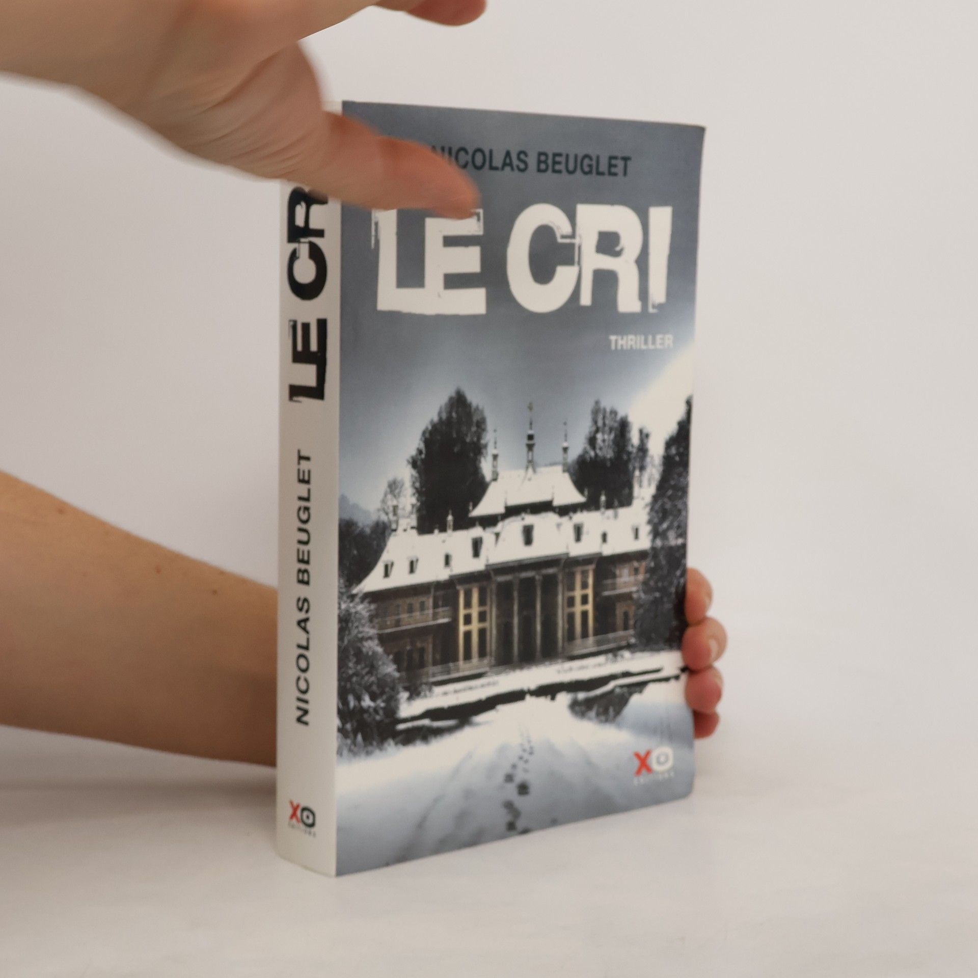 Nicolas Beuglet Le Cri