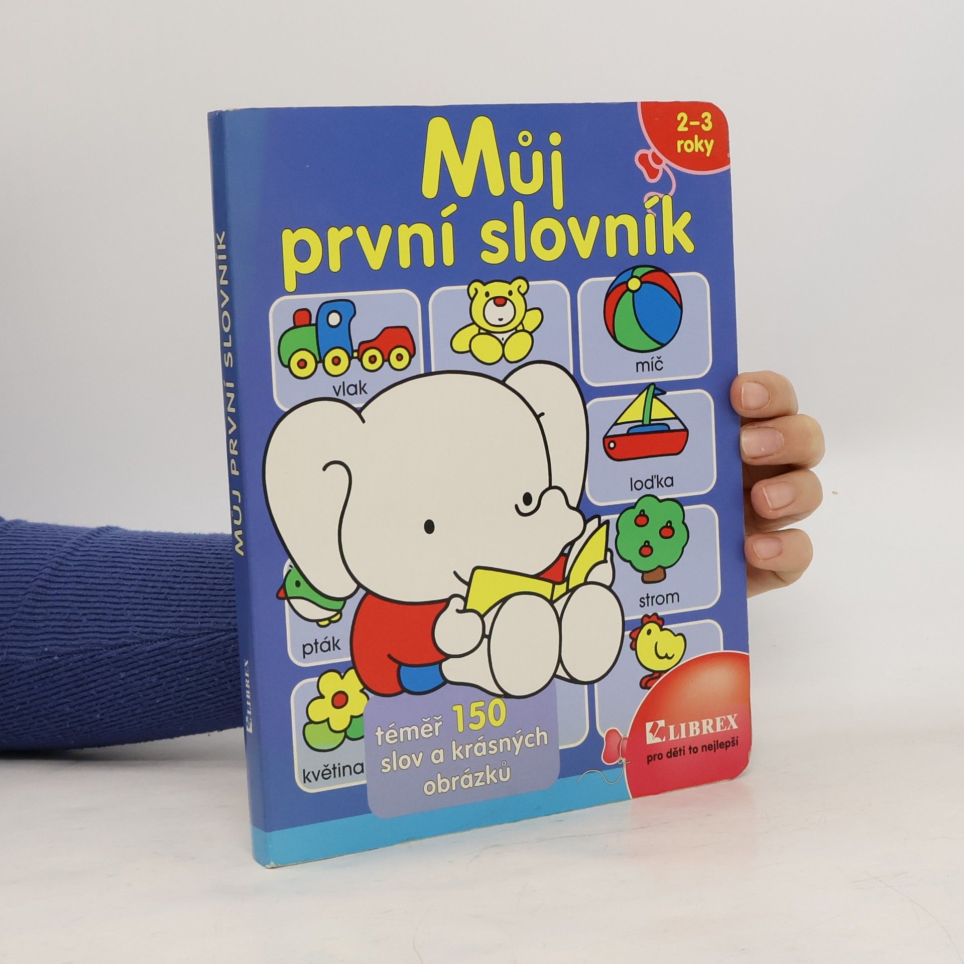 Autorenkollektiv Můj první slovník : téměř 150 slov a krásných obrázků