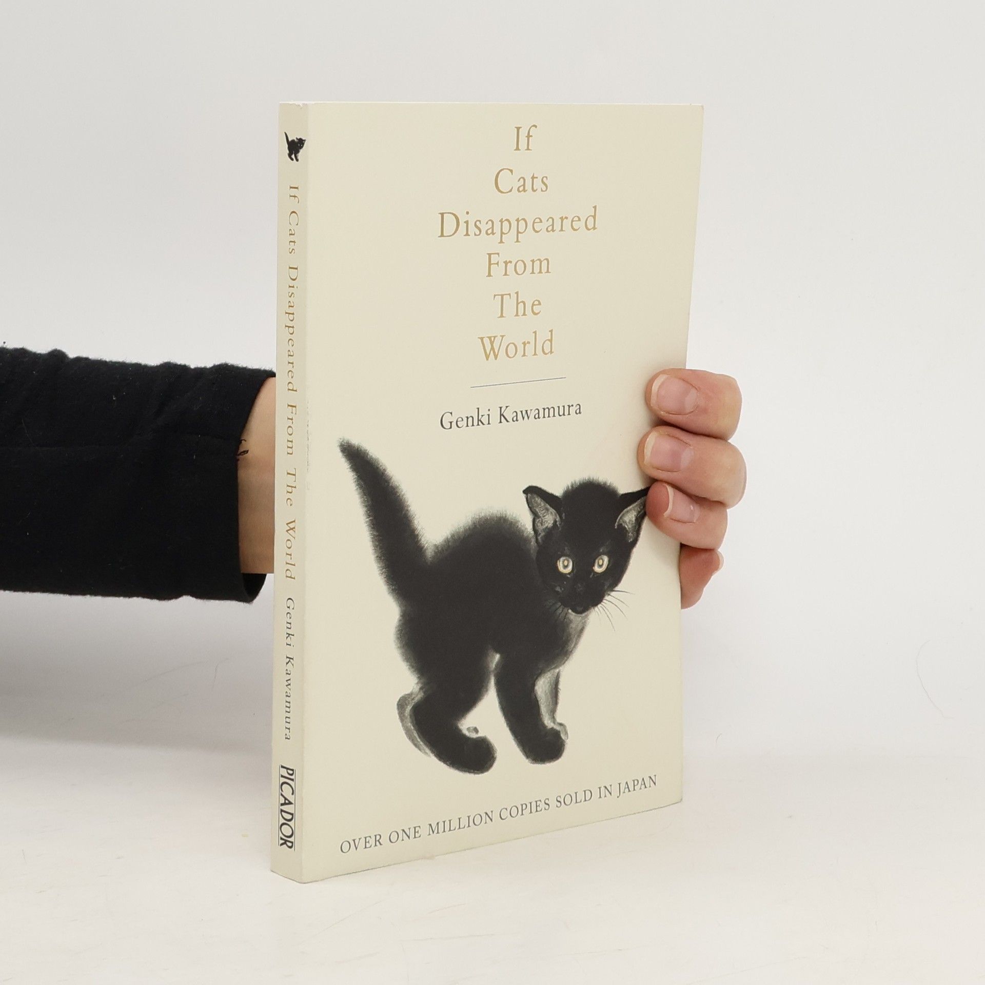 Genki Kawamura If Cats Disappeared from the World