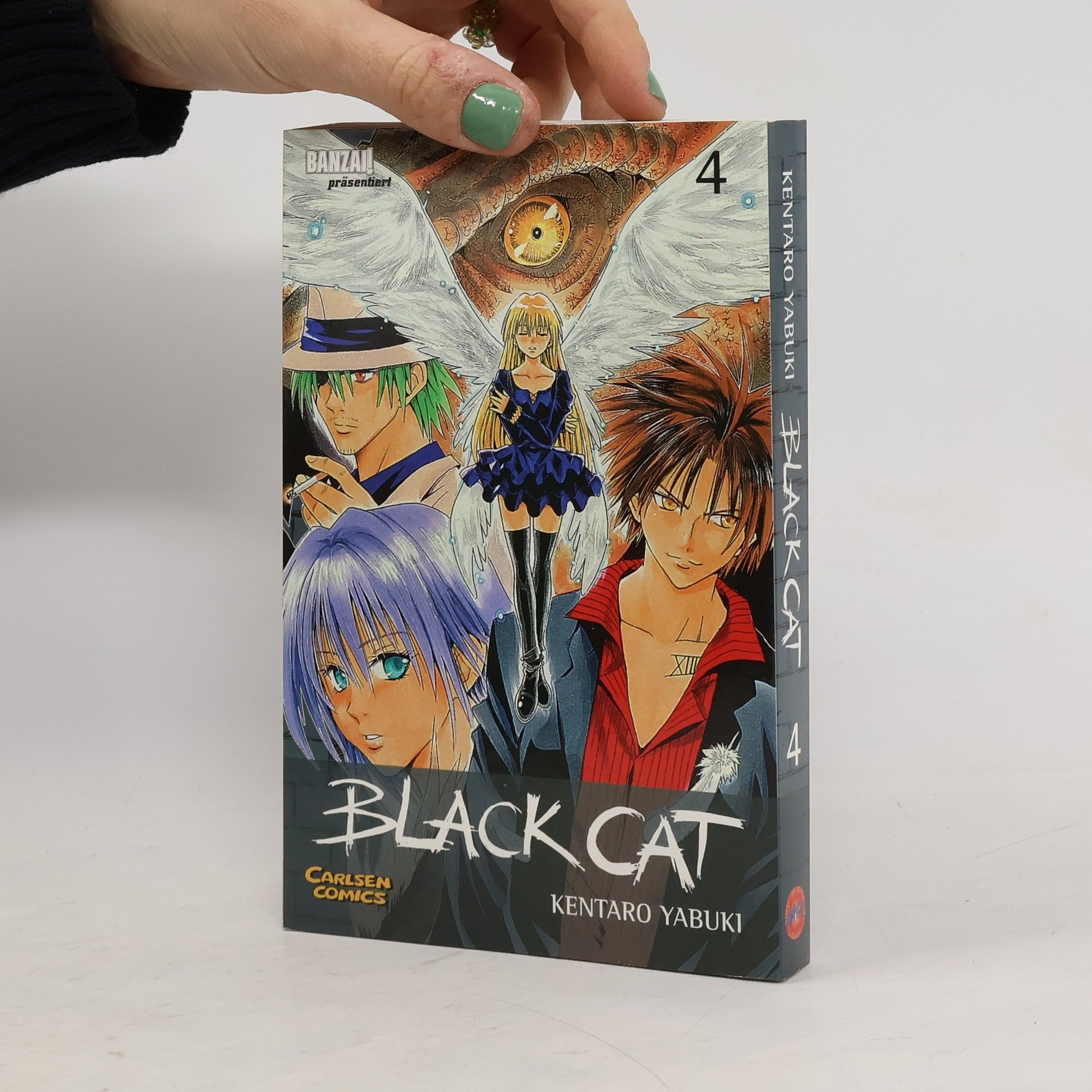 Kentaro Yabuki Black Cat 4