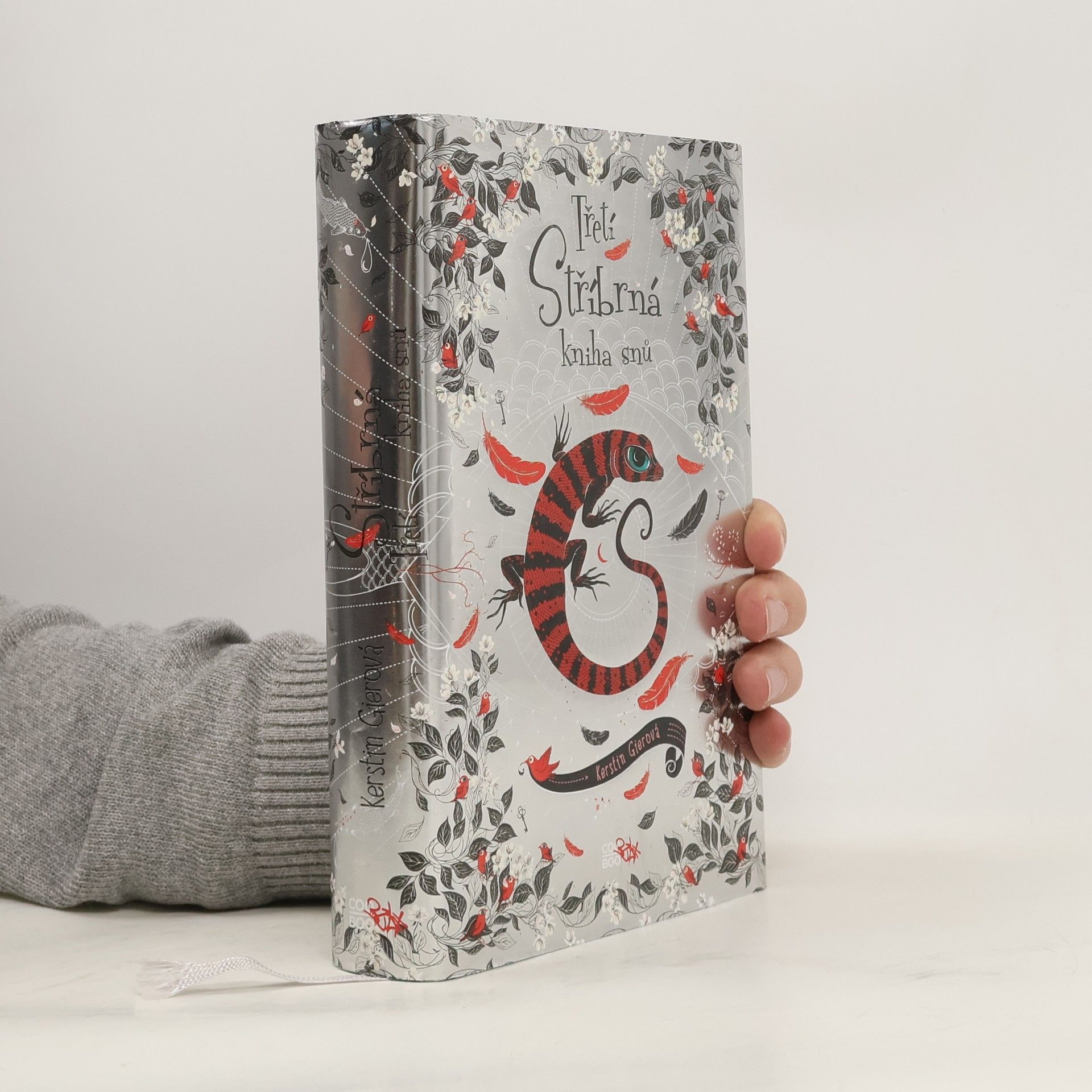 Kerstin Gier Třetí stříbrná kniha snů