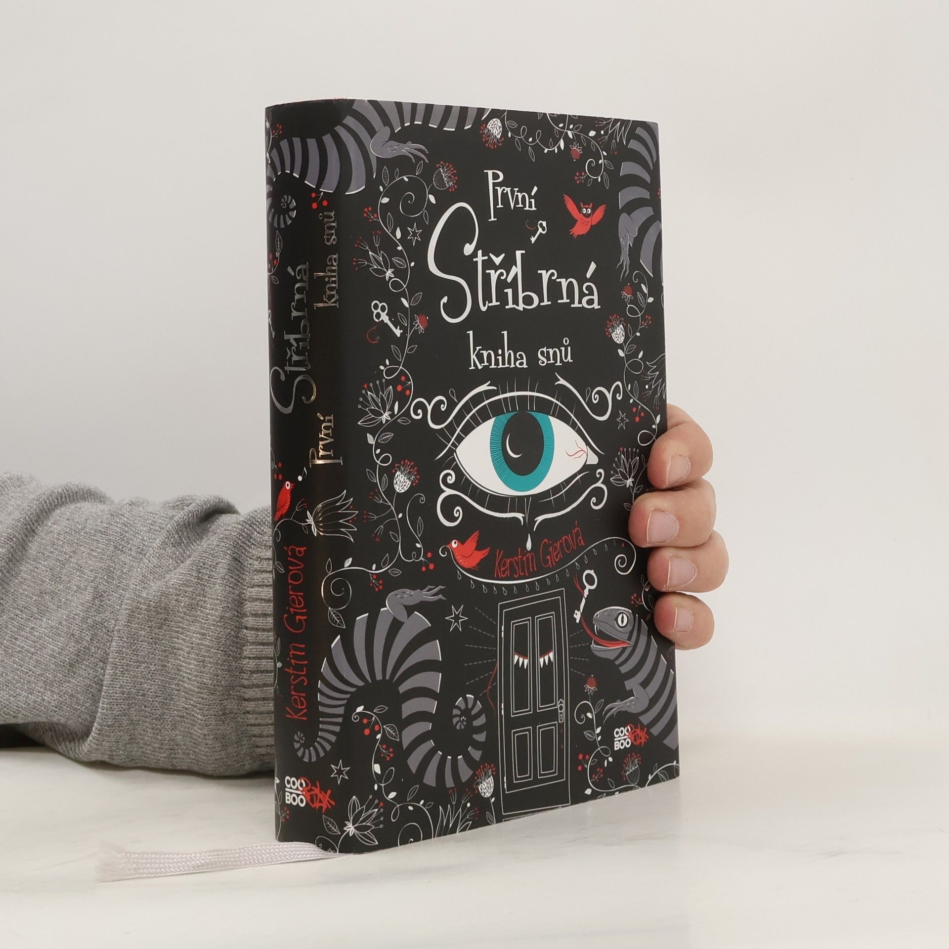 Kerstin Gier První stříbrná kniha snů