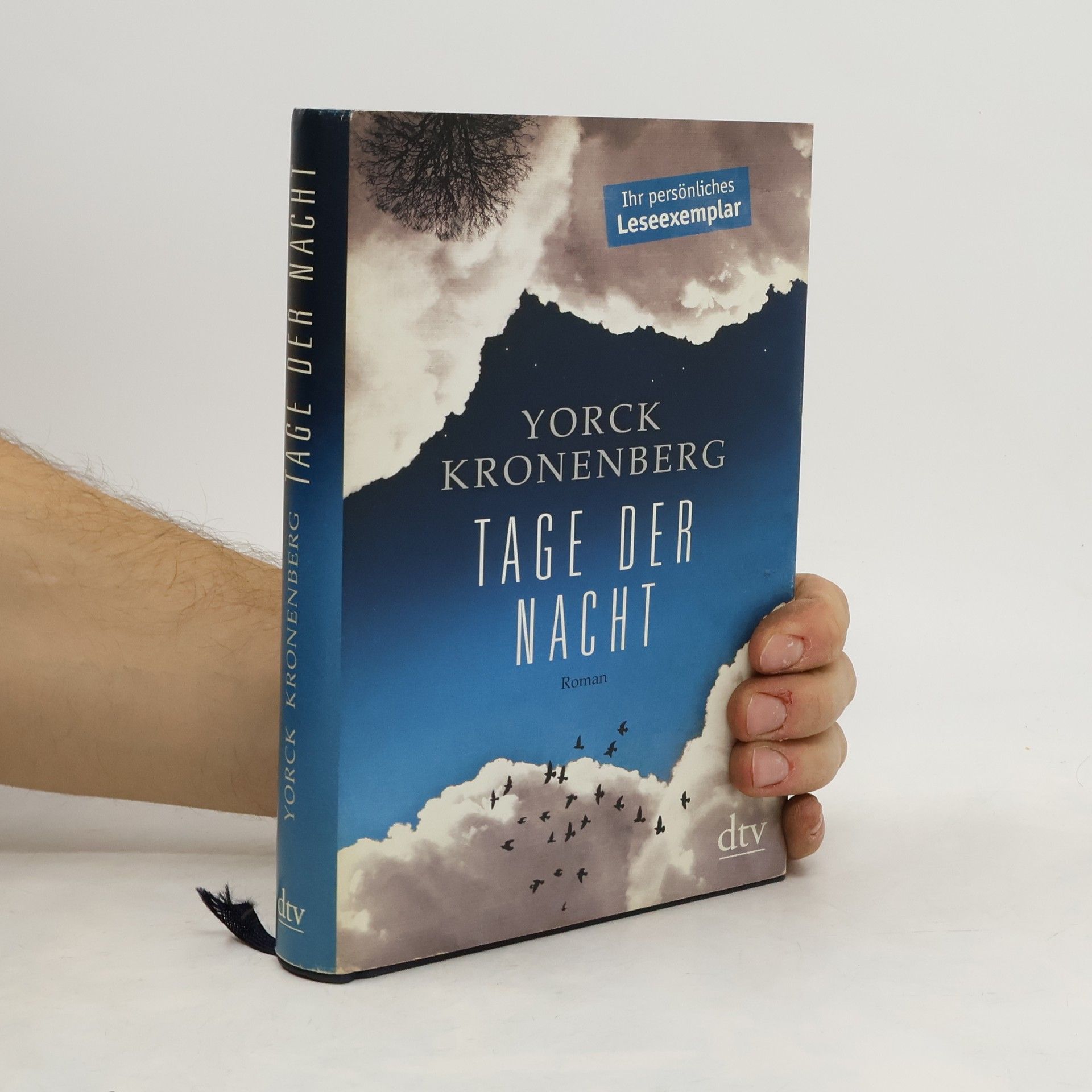 Yorck Kronenberg Tage der Nacht