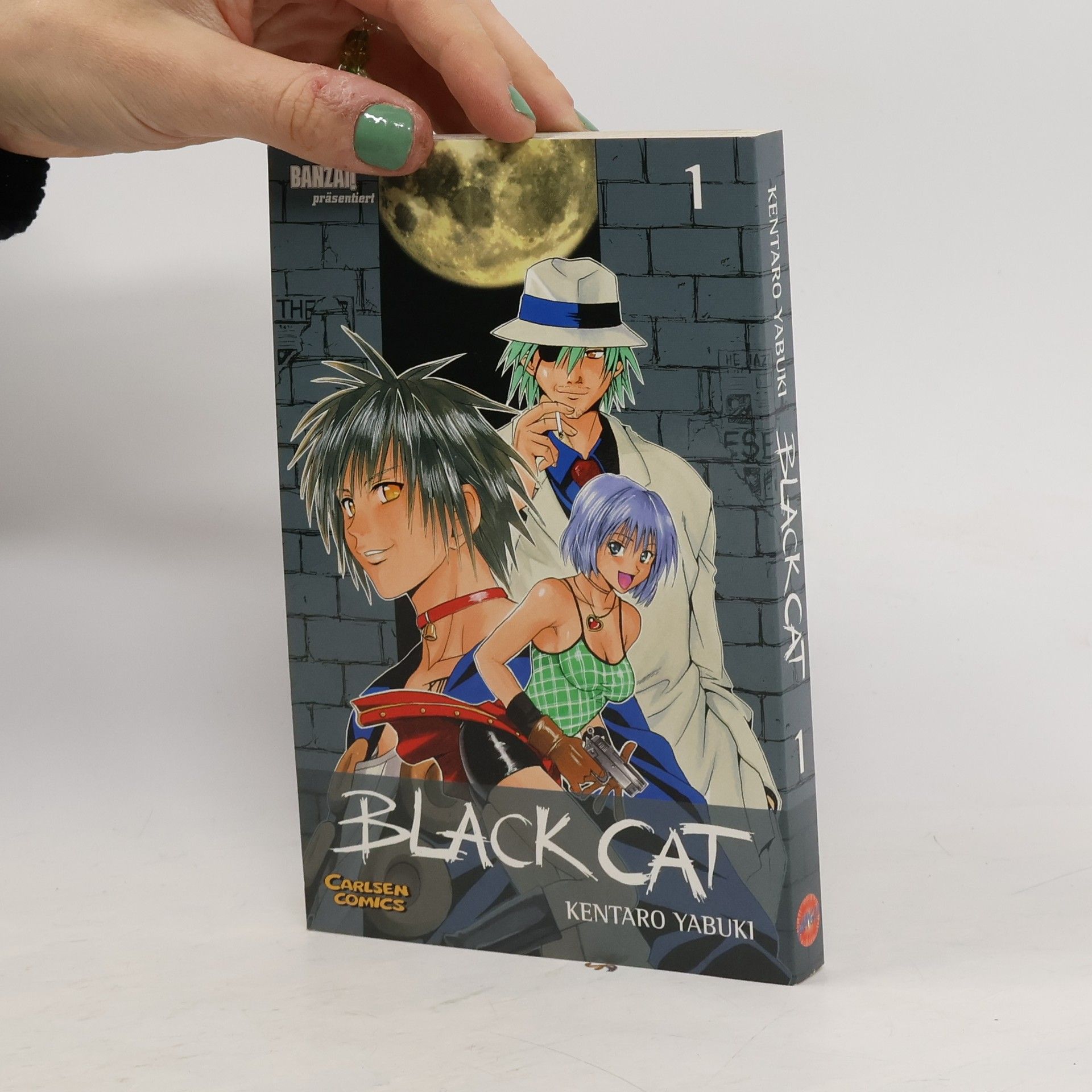 Kentaro Yabuki Black Cat