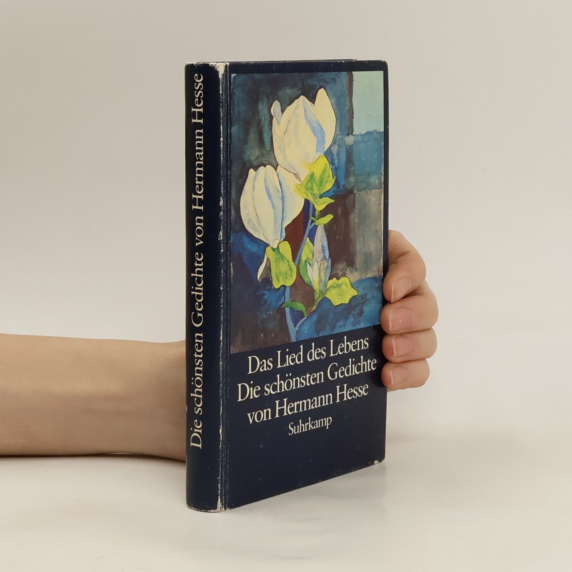 Hermann Hesse Das Lied des Lebens. Die schönsten Gedichte von Hermann Hesse