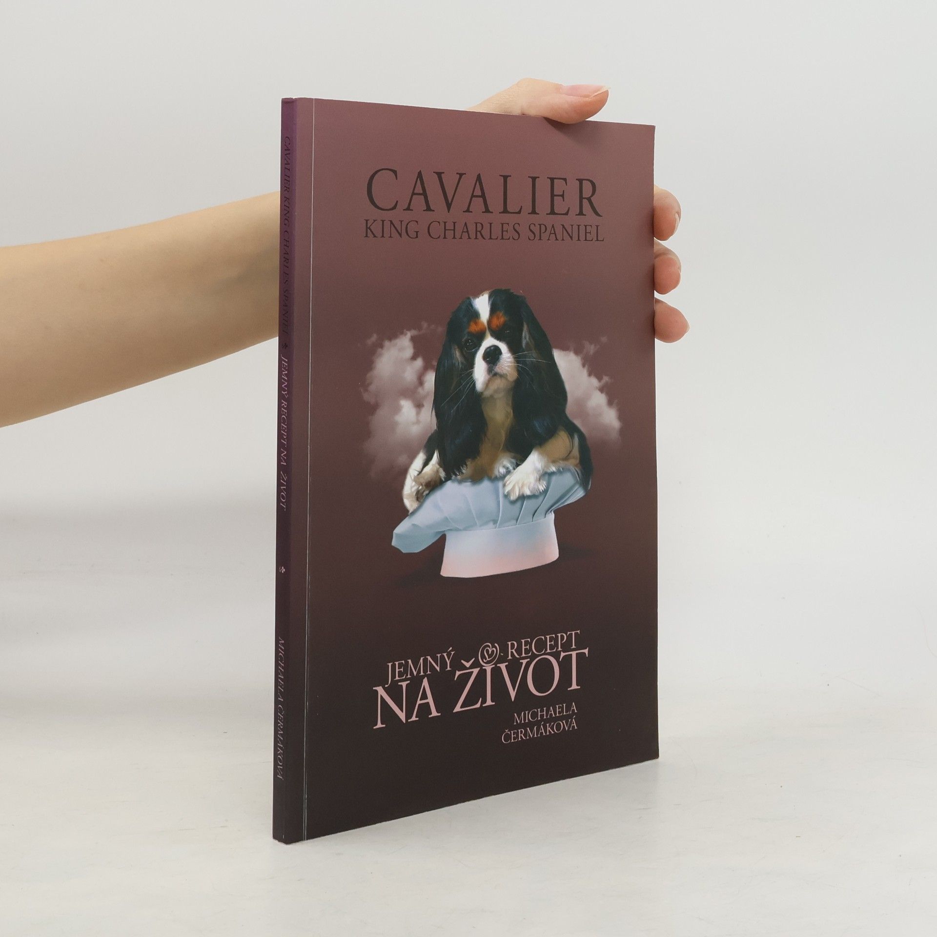Cavalier King Charles Spaniel. Jemný recept na život