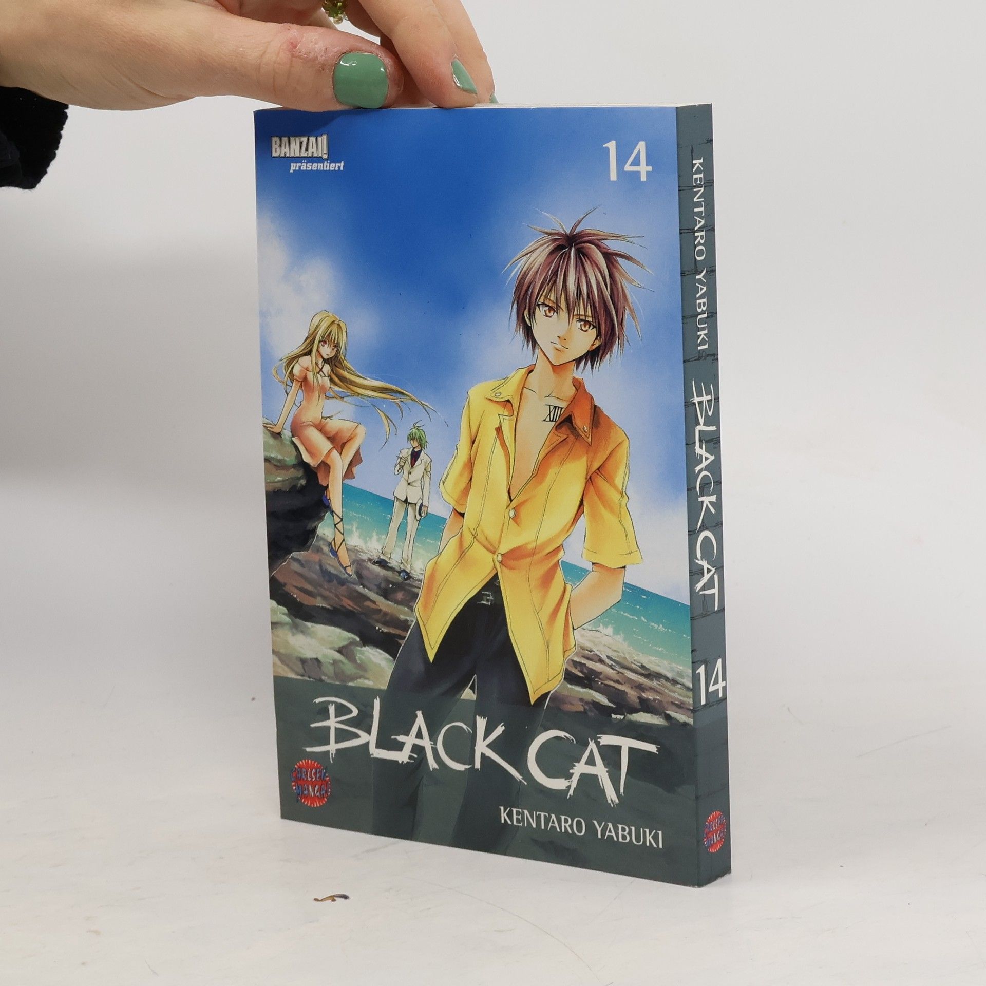 Kentaro Yabuki Black Cat no.14