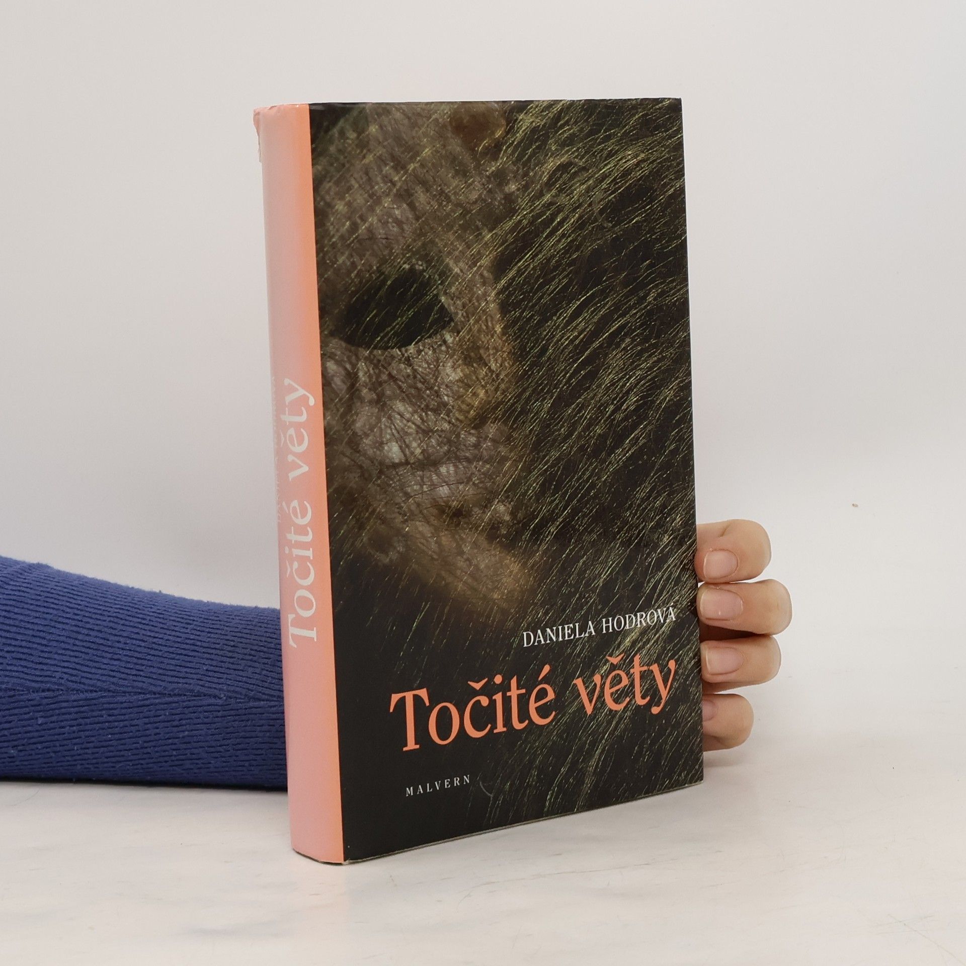 Daniela Hodrová Točité věty