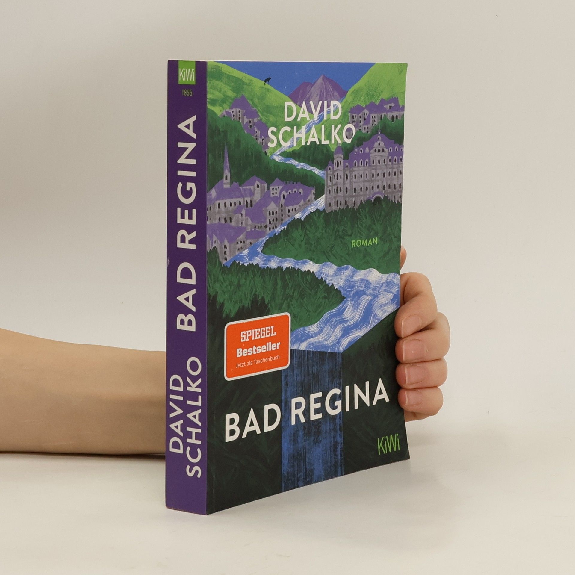 David Schalko Bad Regina