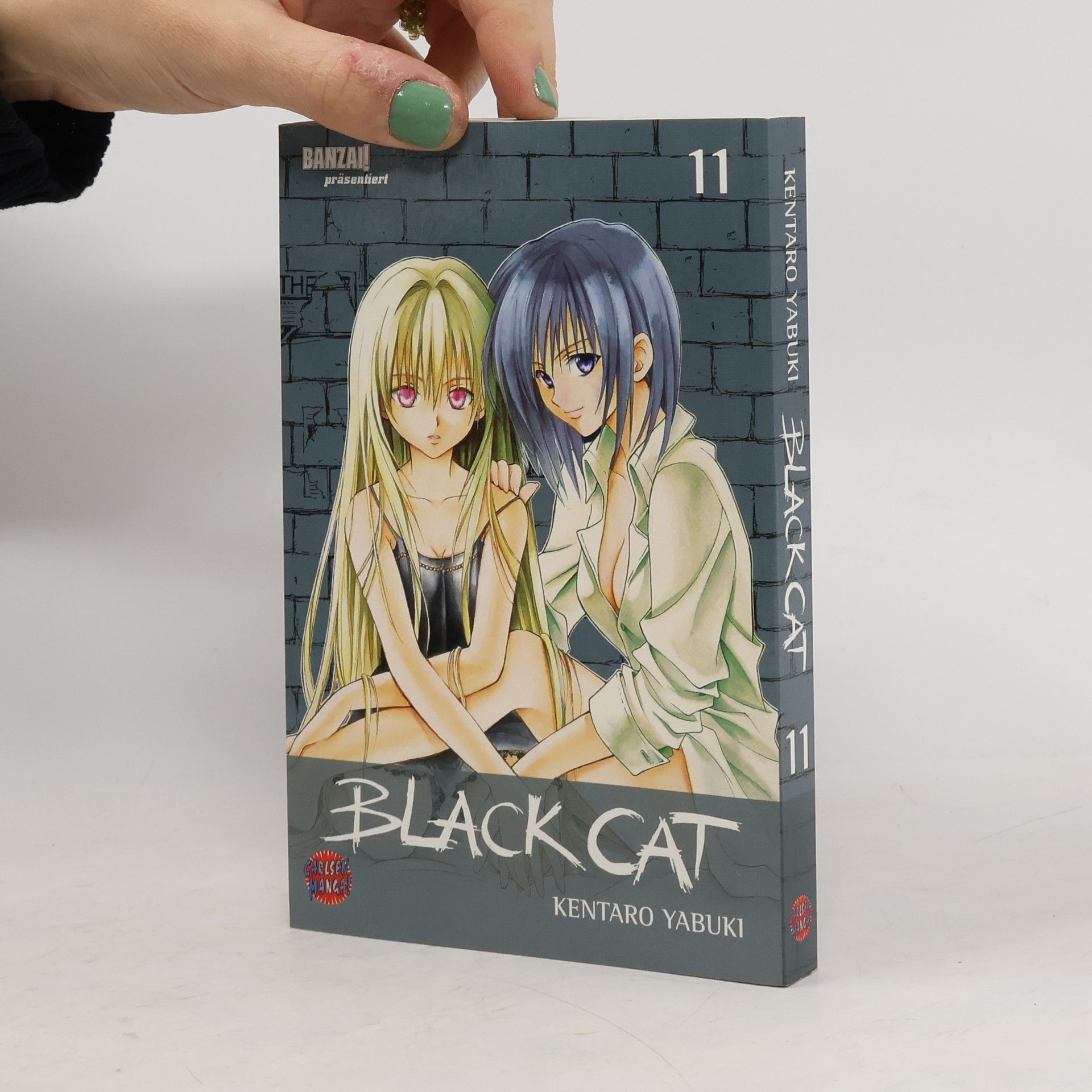 Kentaro Yabuki Black Cat 11