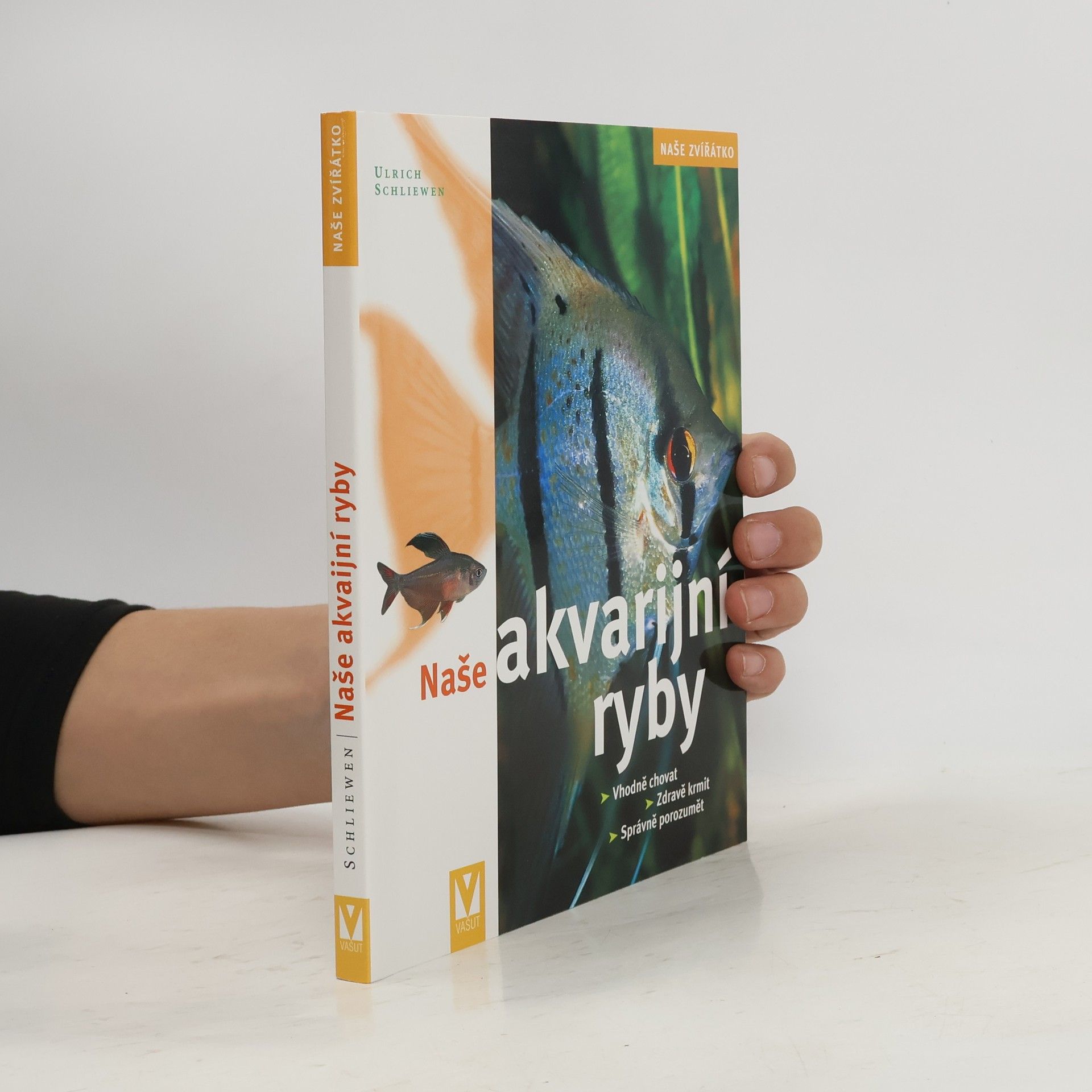 Naše akvarijní ryby. Vhodně chovat, zdravě krmit, správně porozumět
