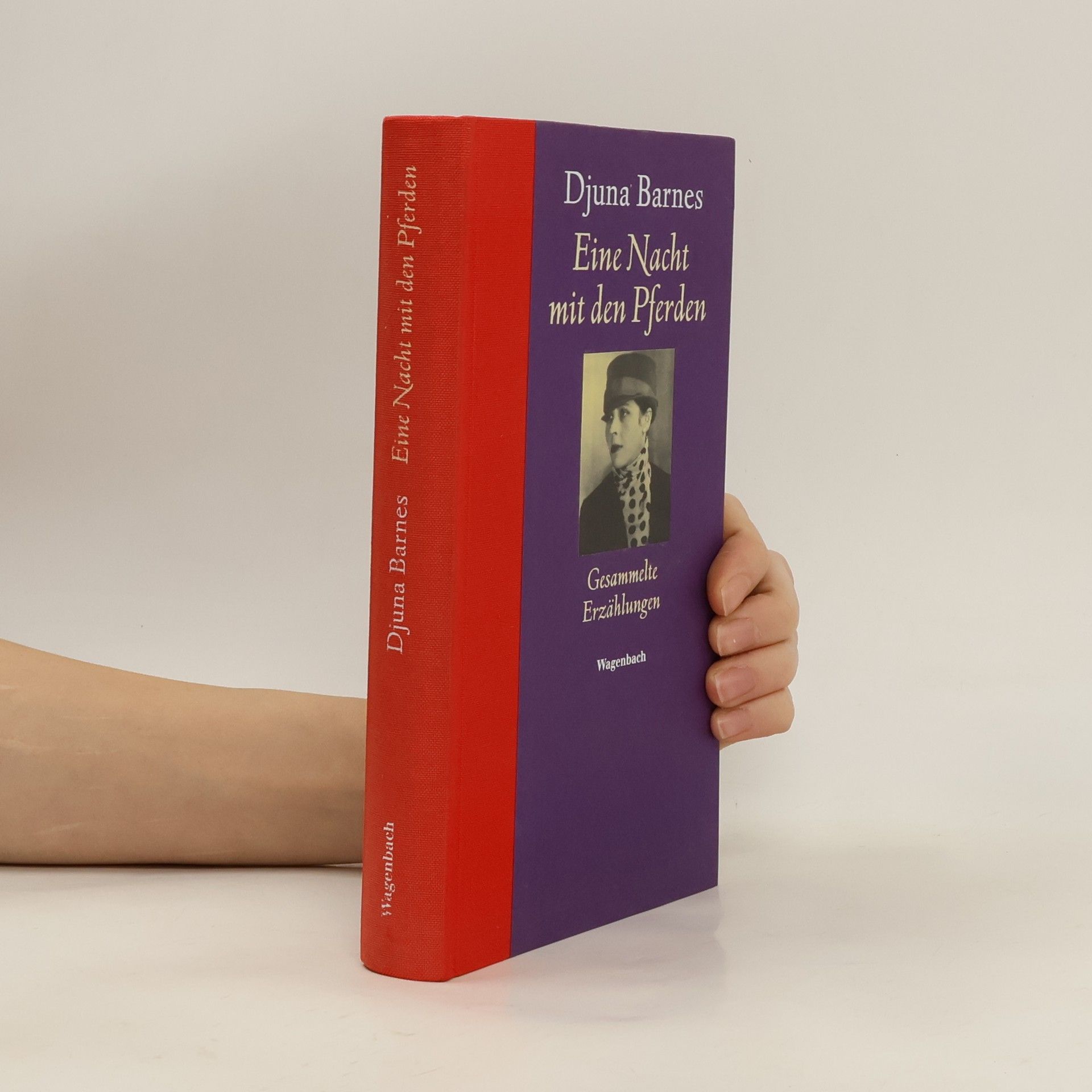 Djuna Barnes Eine Nacht mit den Pferden. Gesammelte Erzählungen