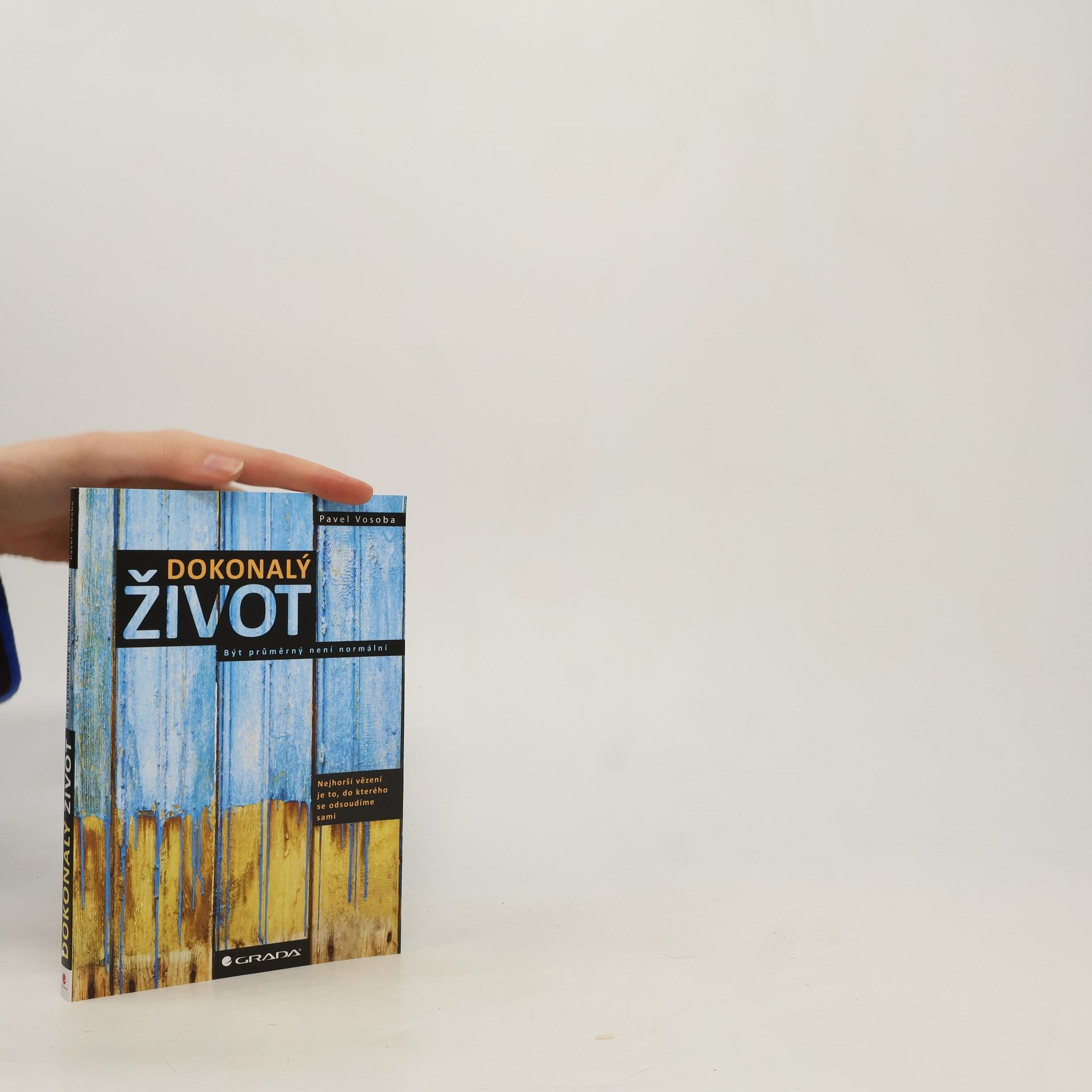 Dokonalý život : být průměrný není normální