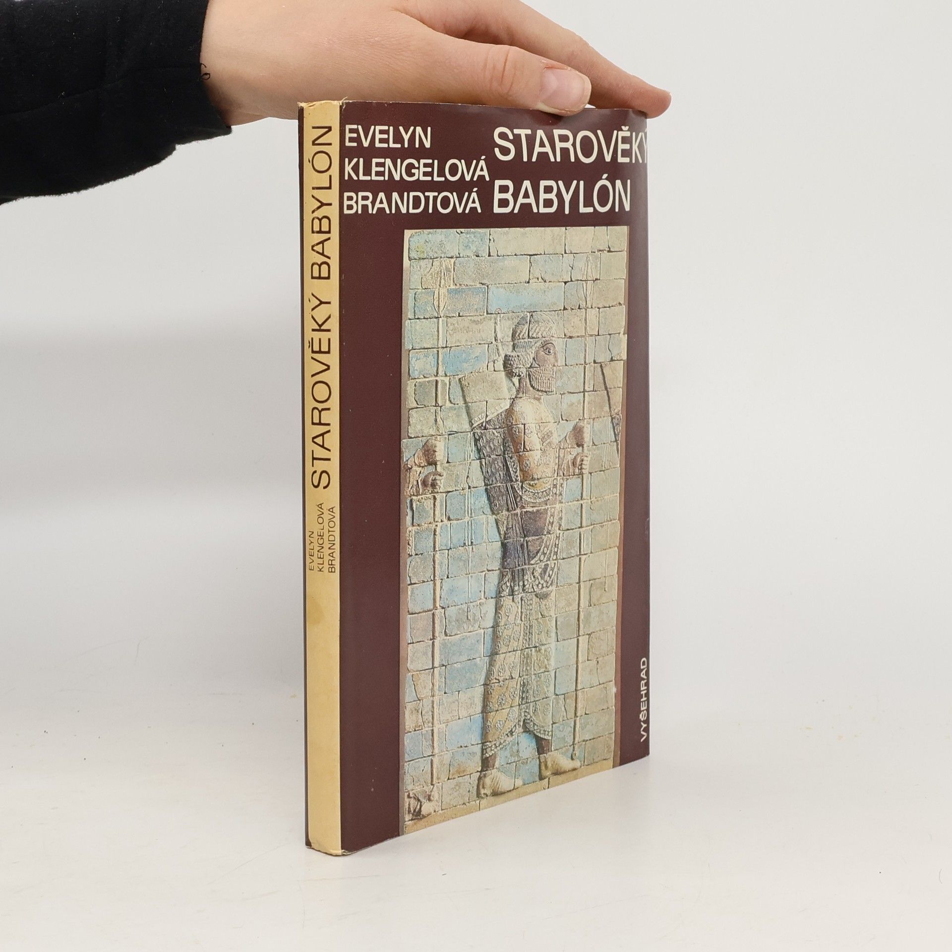 Evelyn Klengel-Brandt Starověký Babylón