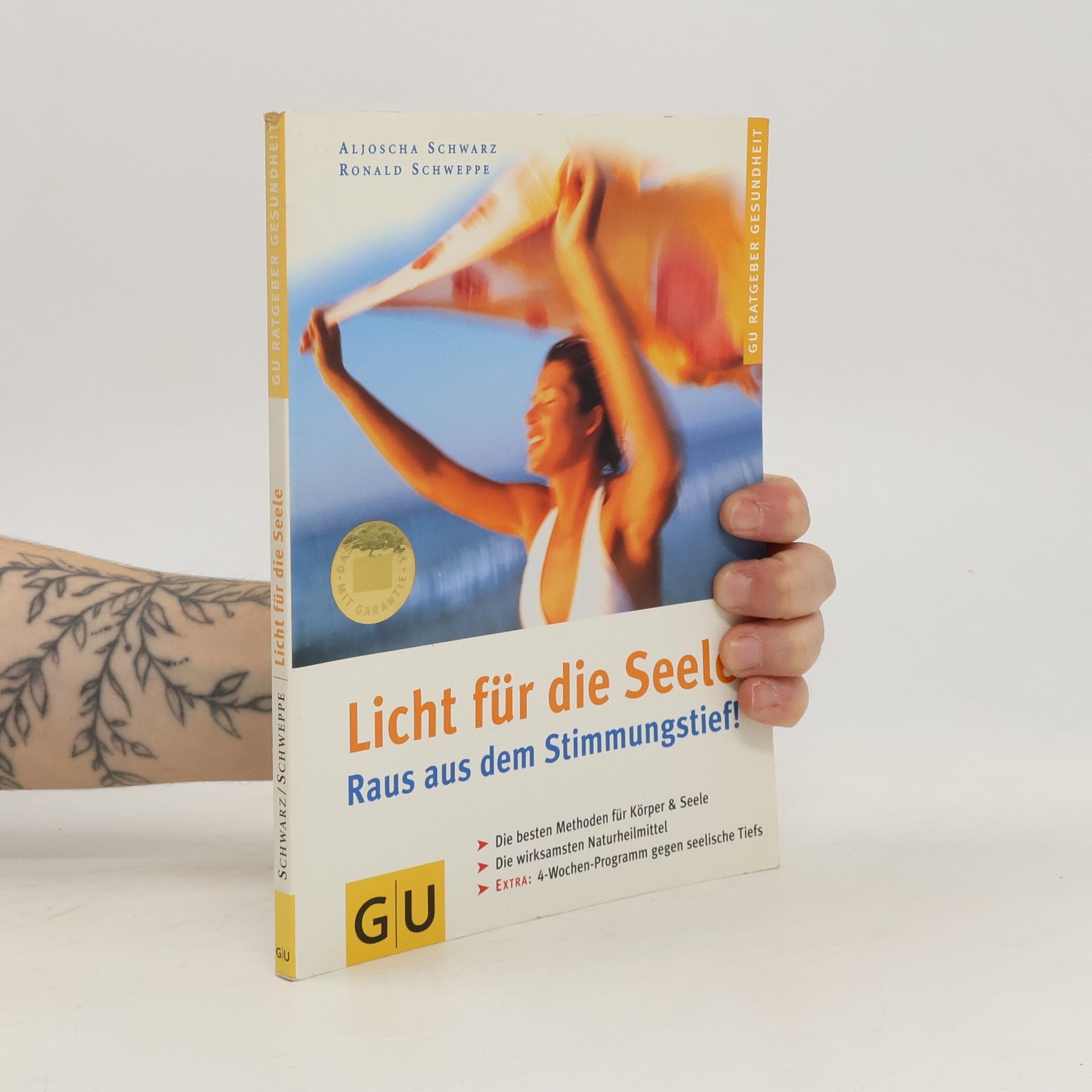 Aljoscha Long Licht für die Seele. Raus aus dem Stimmungstief!