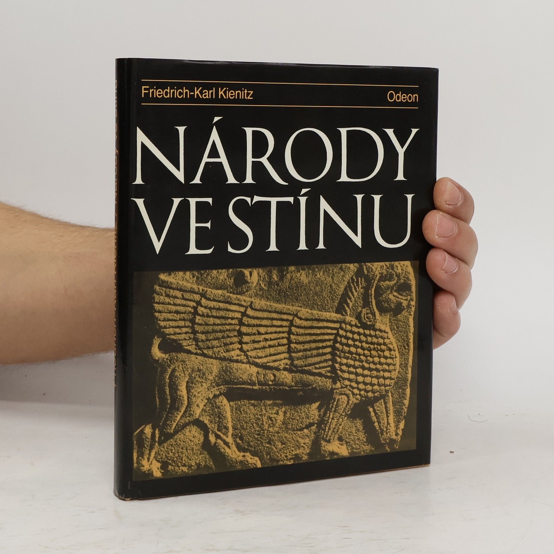 Friedrich Karl Kienitz Národy ve stínu