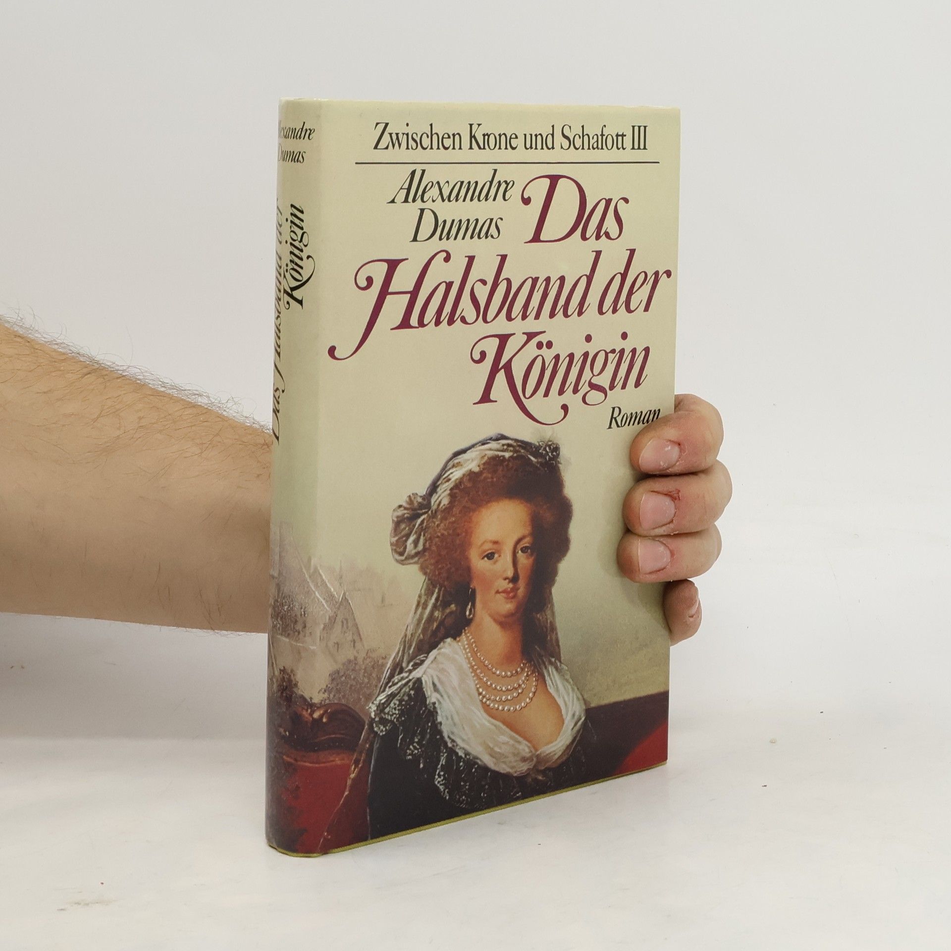 Alexandre Dumas der Ältere Zwischen Krone und Schafott III