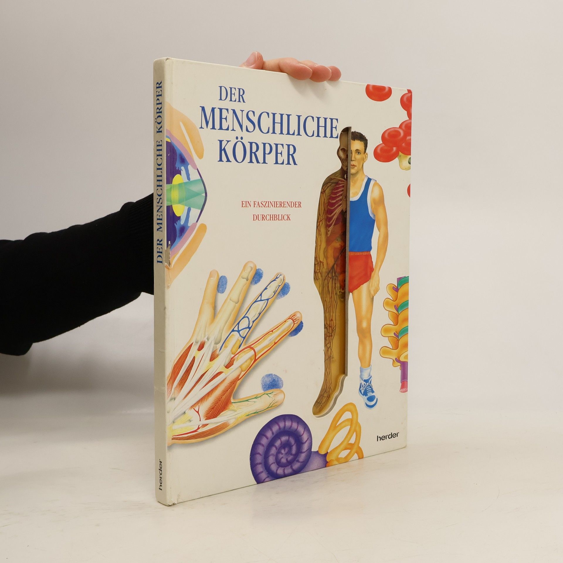 Andrea Huemer Der menschliche Körper