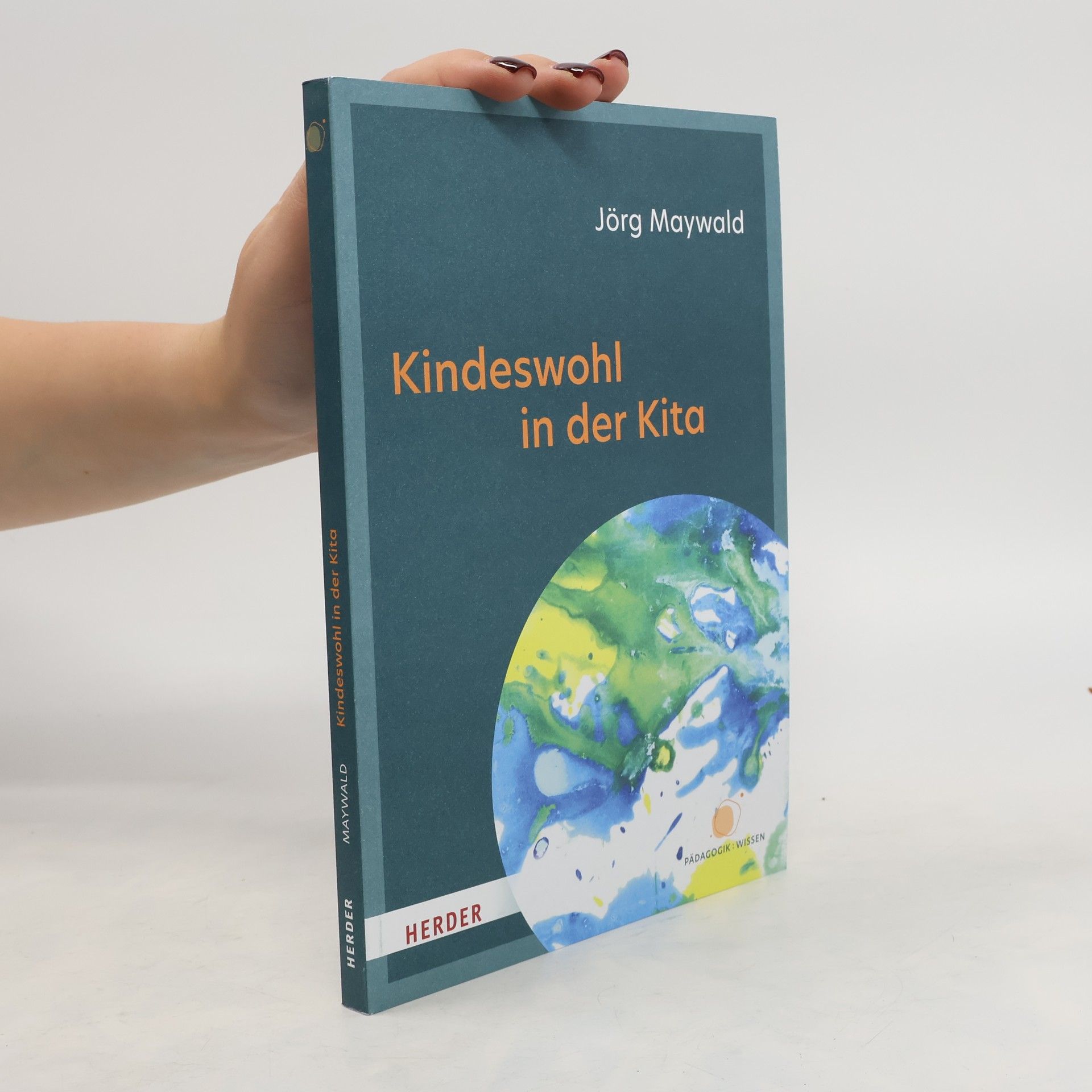 Jörg Maywald Kindeswohl in der Kita