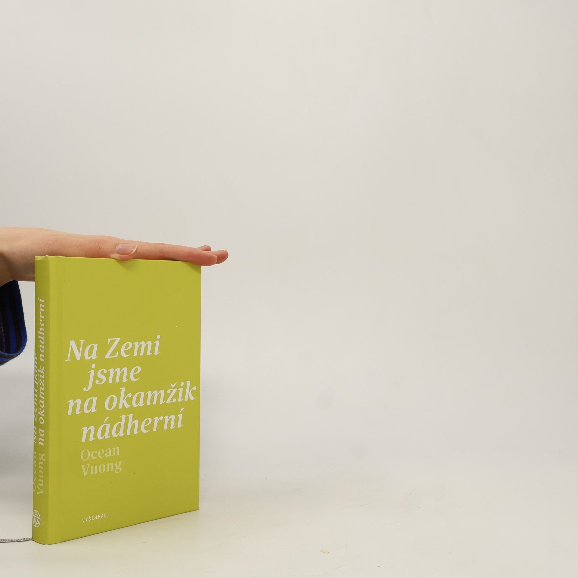 Ocean Vuong Na Zemi jsme na okamžik nádherní