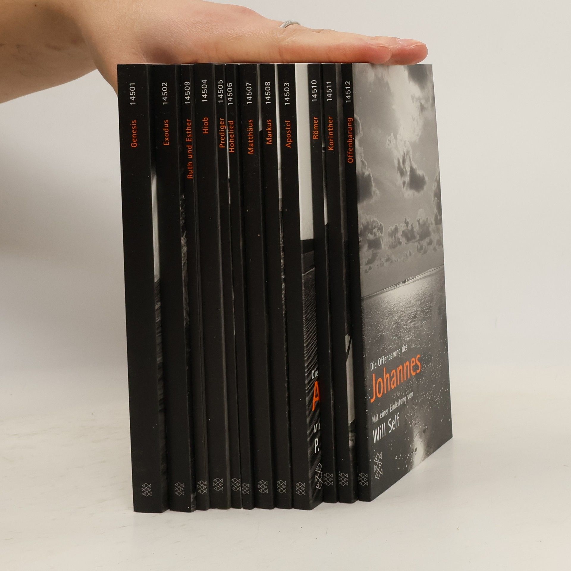 Kolektiv autorů Das Bibel-Projekt. Die Worte der Weisen