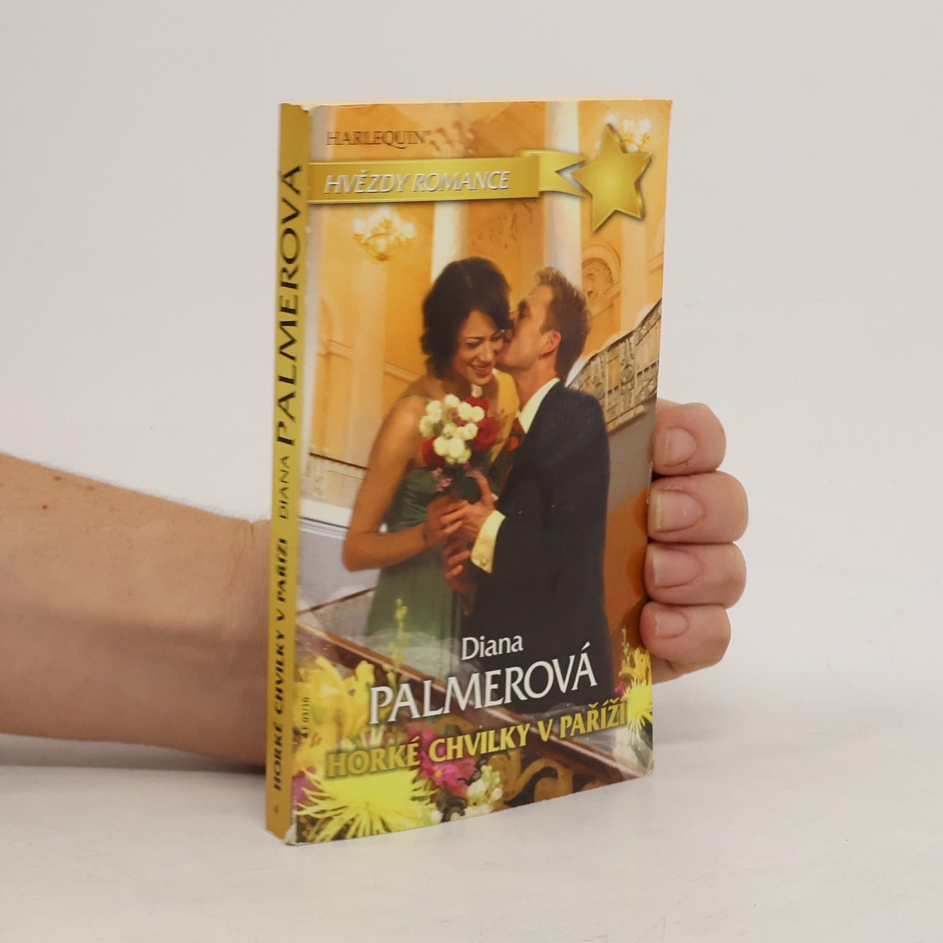 Diana Palmer Horké chvilky v Paříži