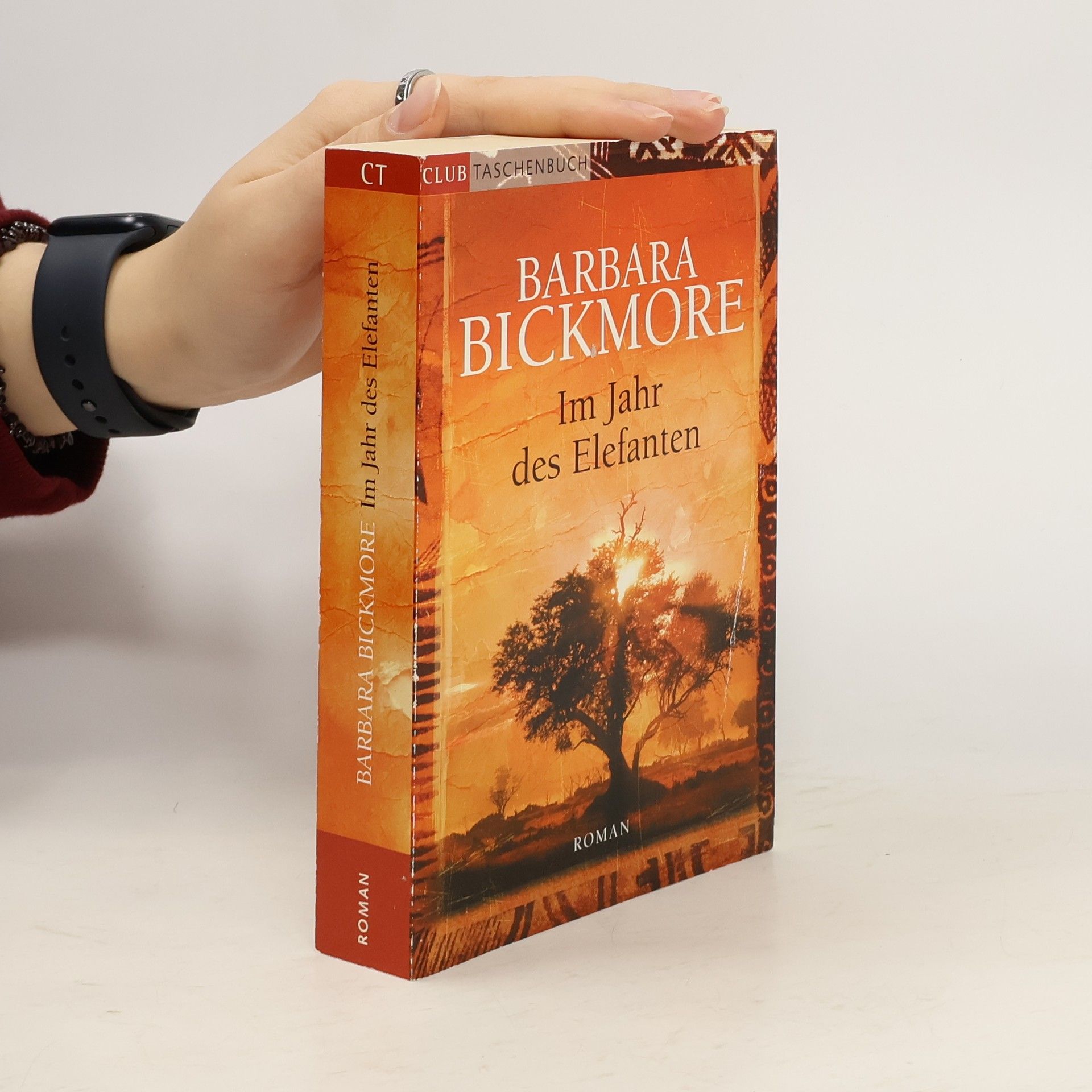 Barbara Bickmore Im Jahr des Elefanten