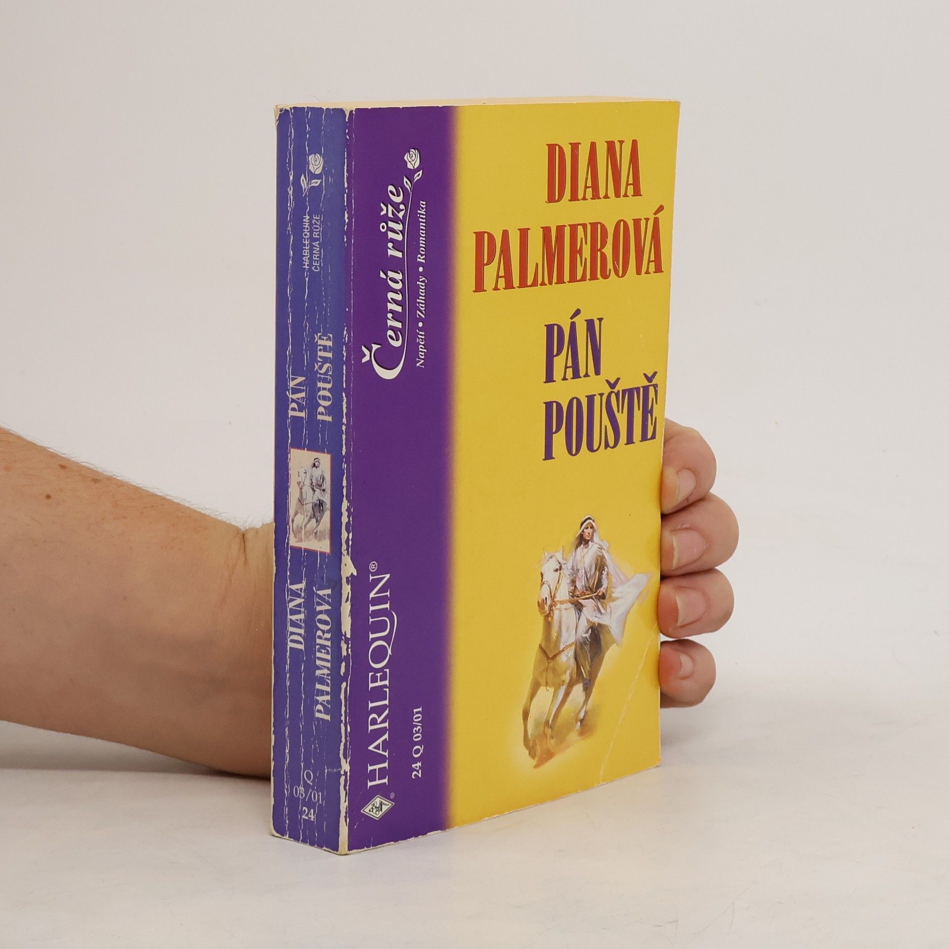 Diana Palmer Pán pouště