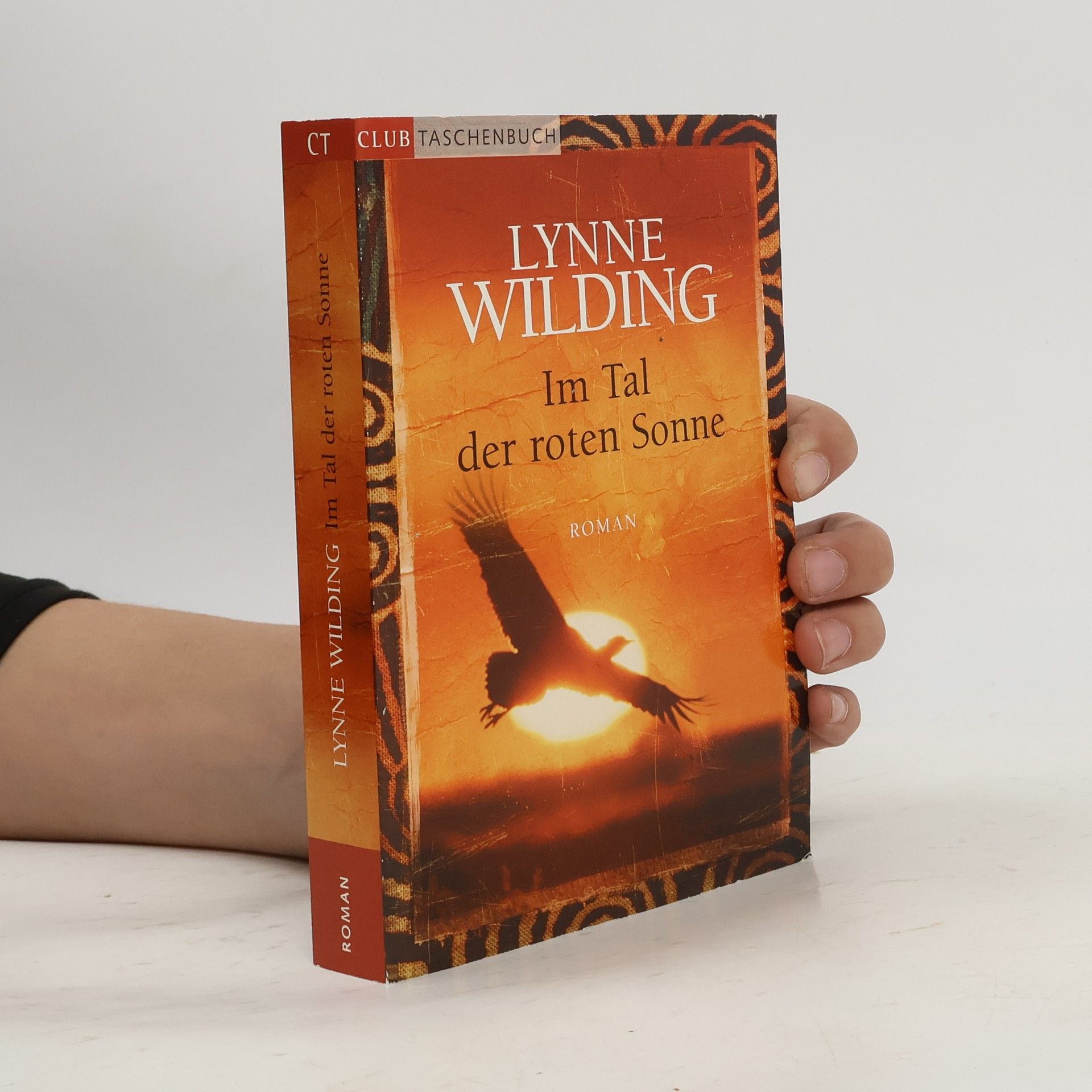 Lynne Wilding Im Tal der roten Sonne