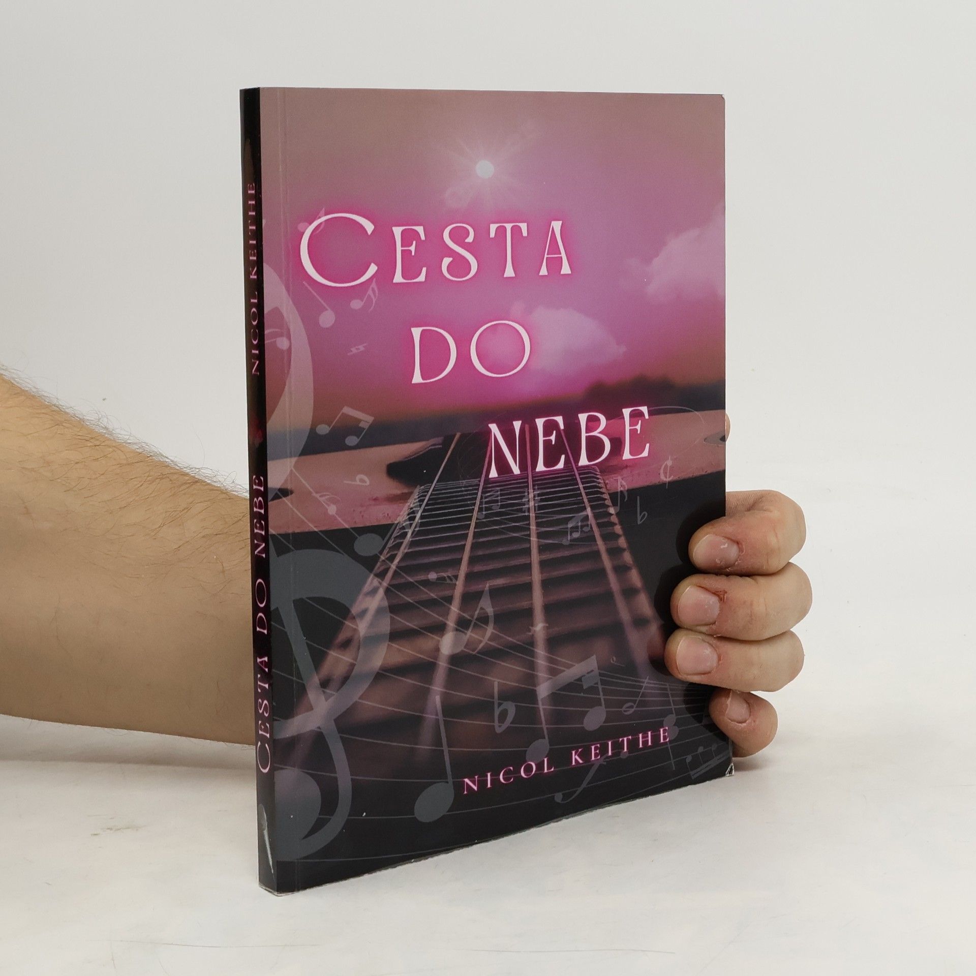 Petr Čepa Dědic bez osudu