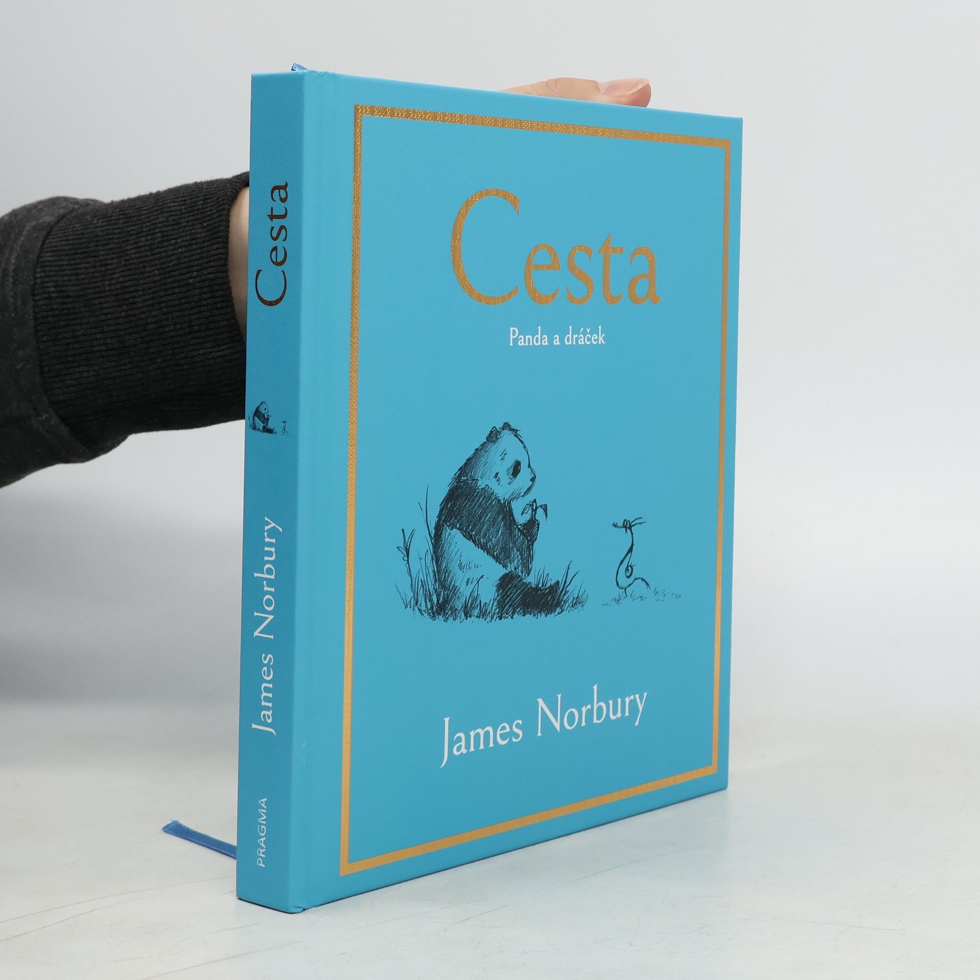James Norbury Cesta. Panda a dráček