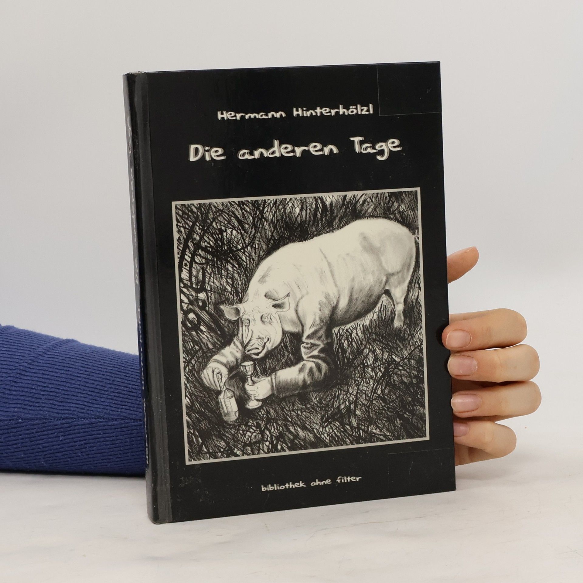 Hermann Hinterhölzl Die anderen Tage