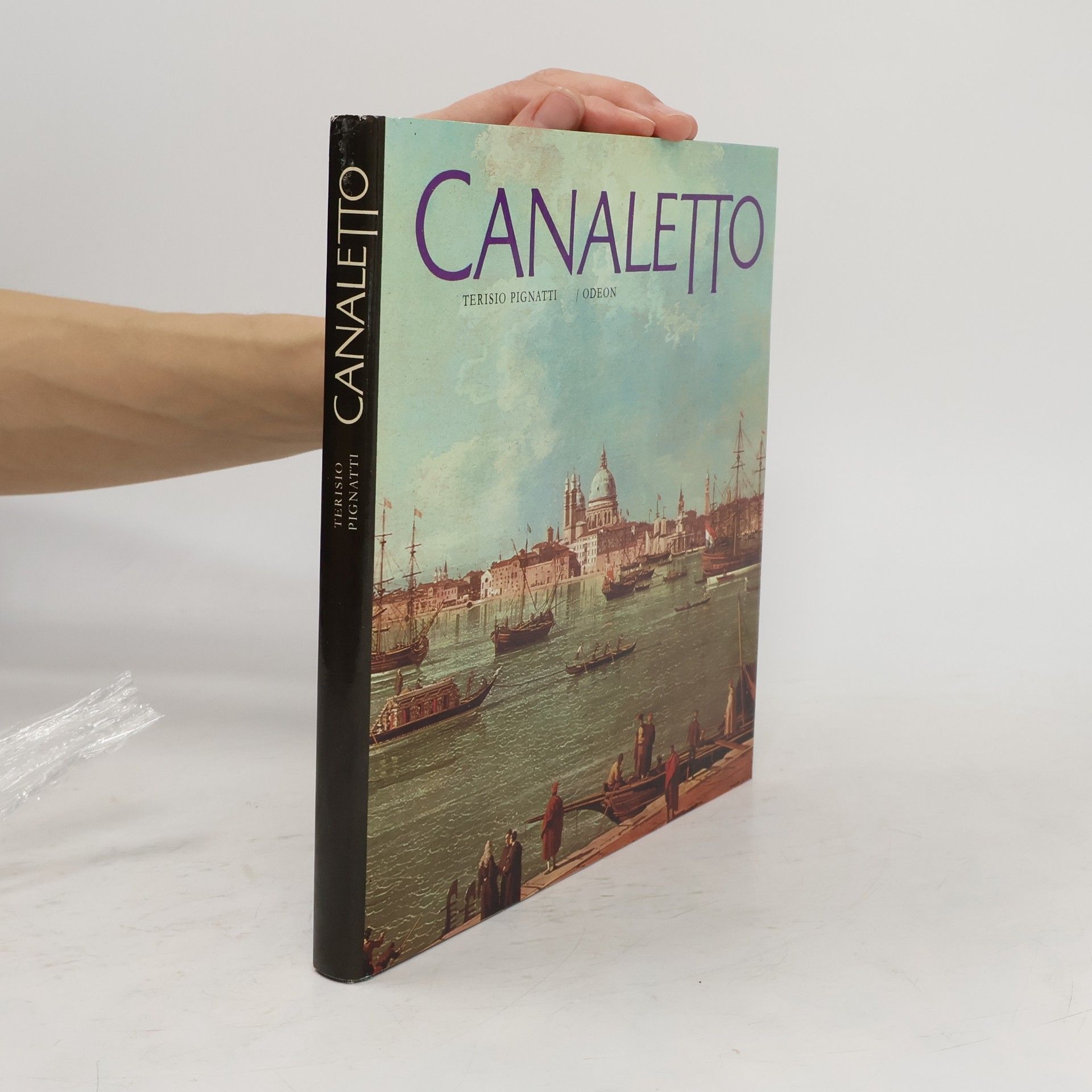 Terisio Pignatti Canaletto