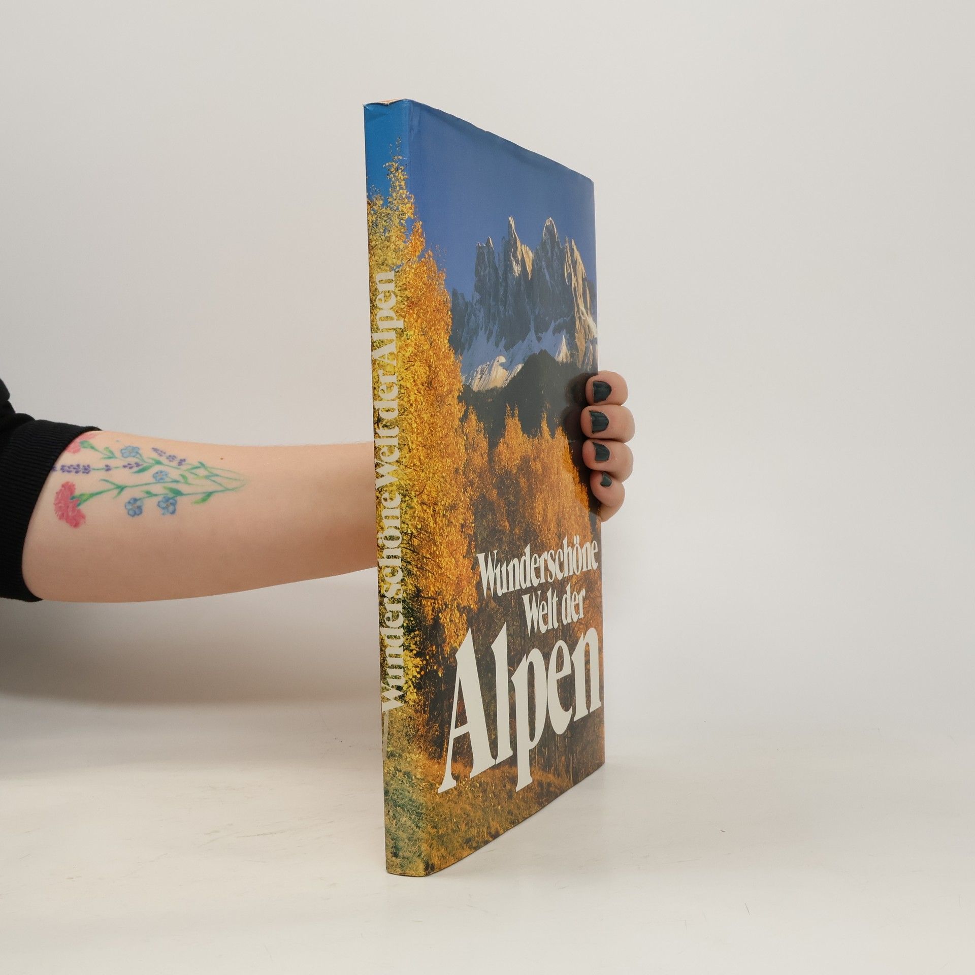 Hubbert Neuwirth Wunderschöne Welt der Alpen