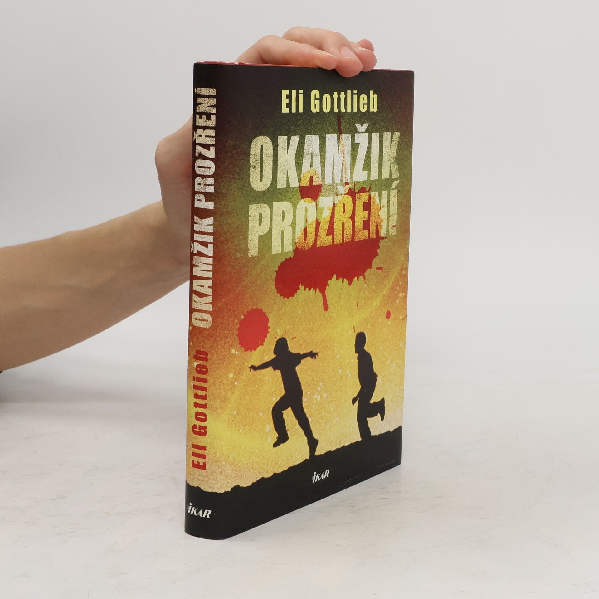 Eli Gottlieb Okamžik prozření