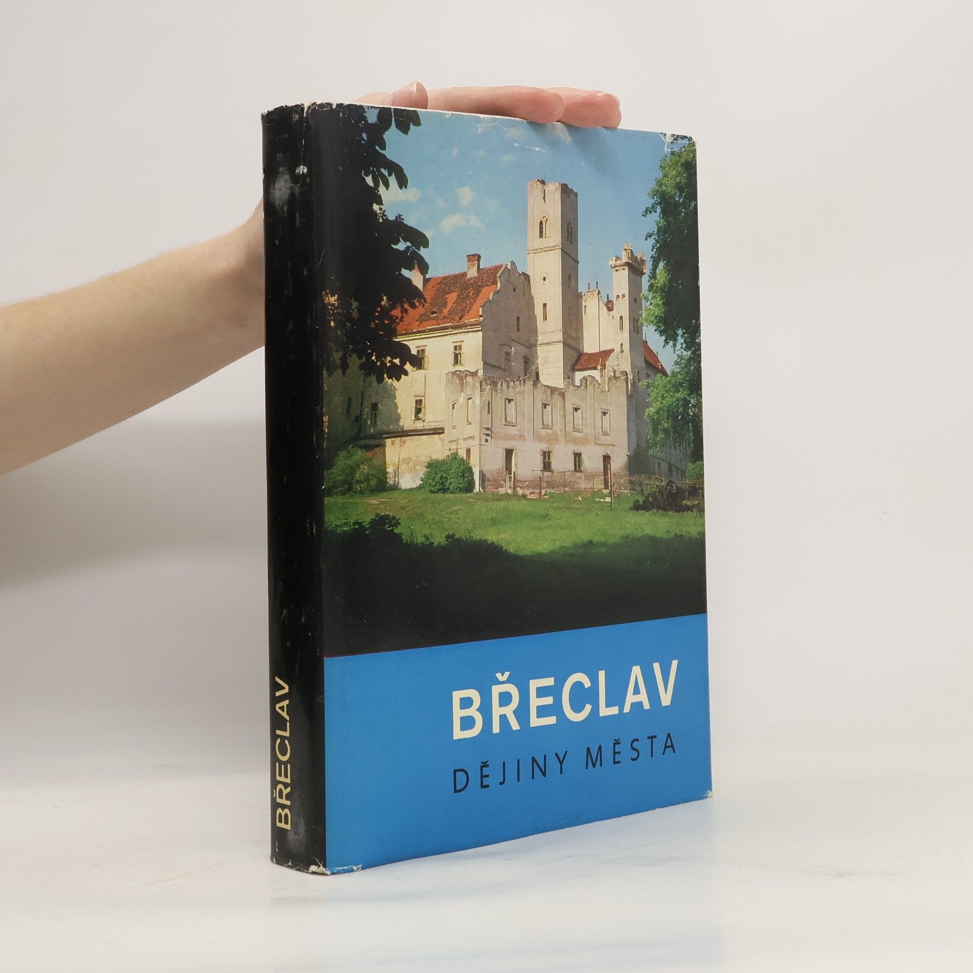 Kolektiv autorů Břeclav: dějiny města