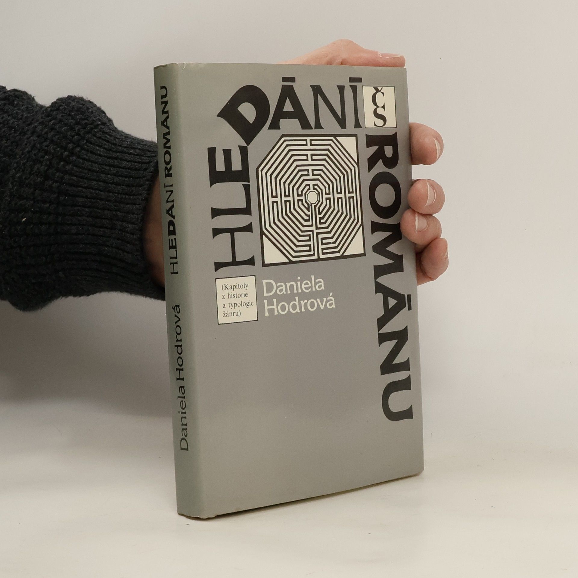 Daniela Hodrová Hledání románu