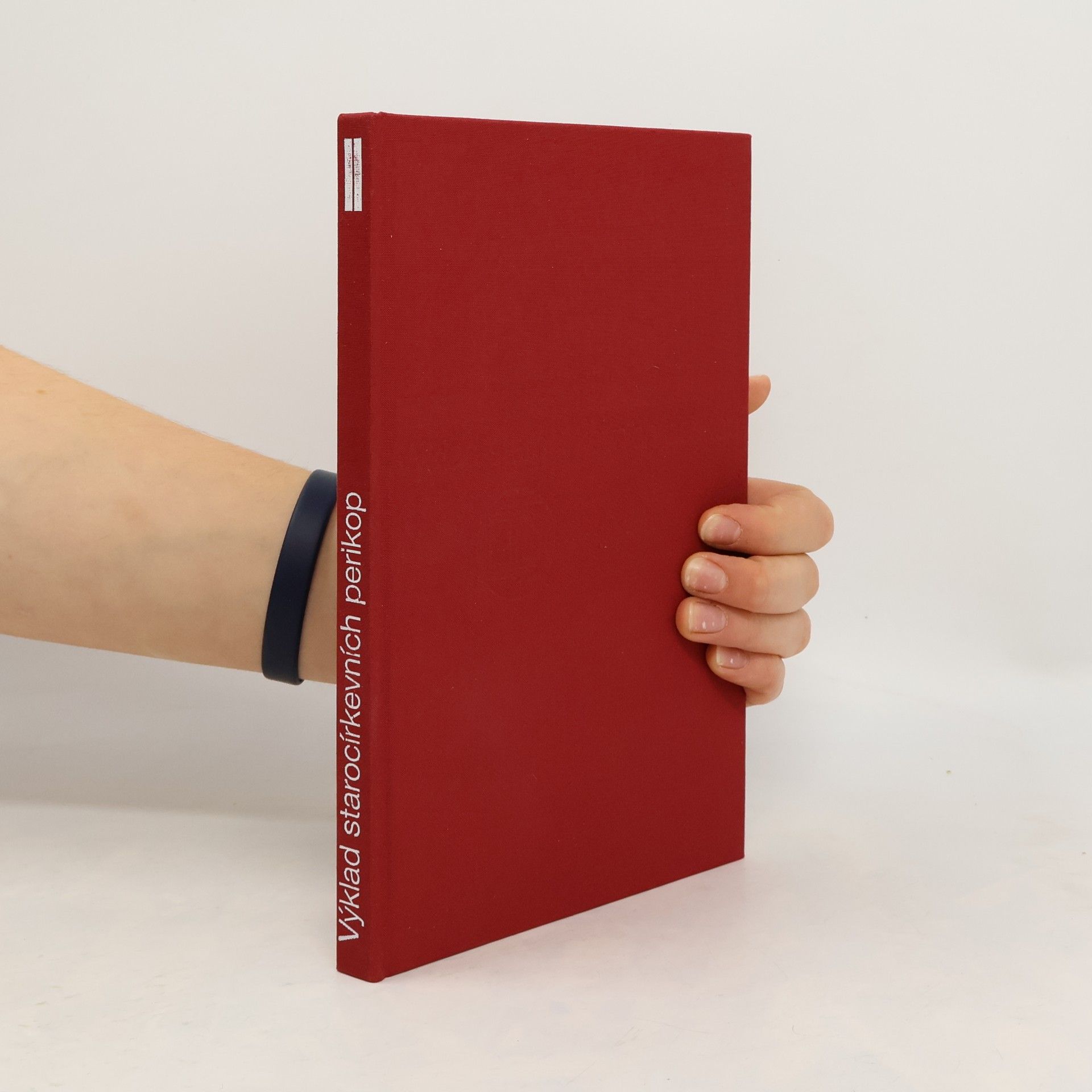 Auteurscollectief Kážeme Krista. Výklad starocírkevních perikop pro zvěstování v církvi. Díl druhý, neděle po Trojici