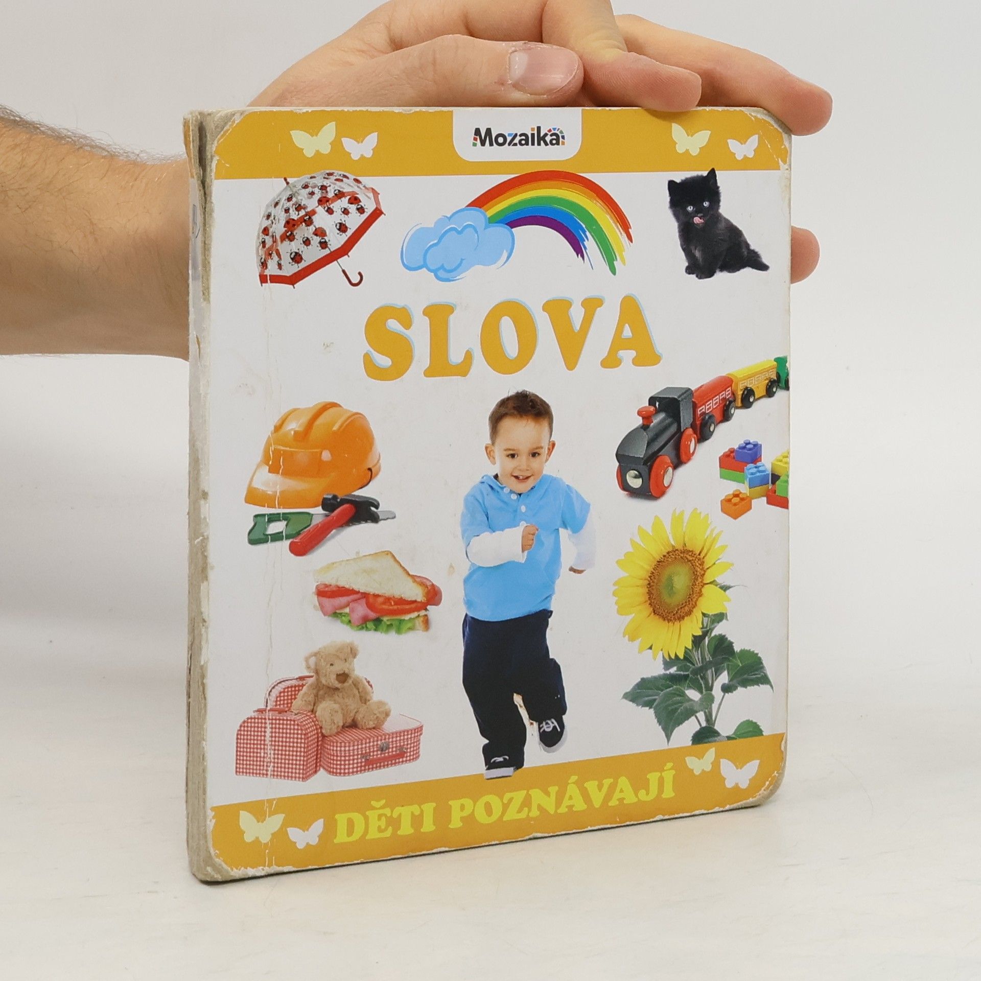 Collectif d'auteurs Děti poznávají slova