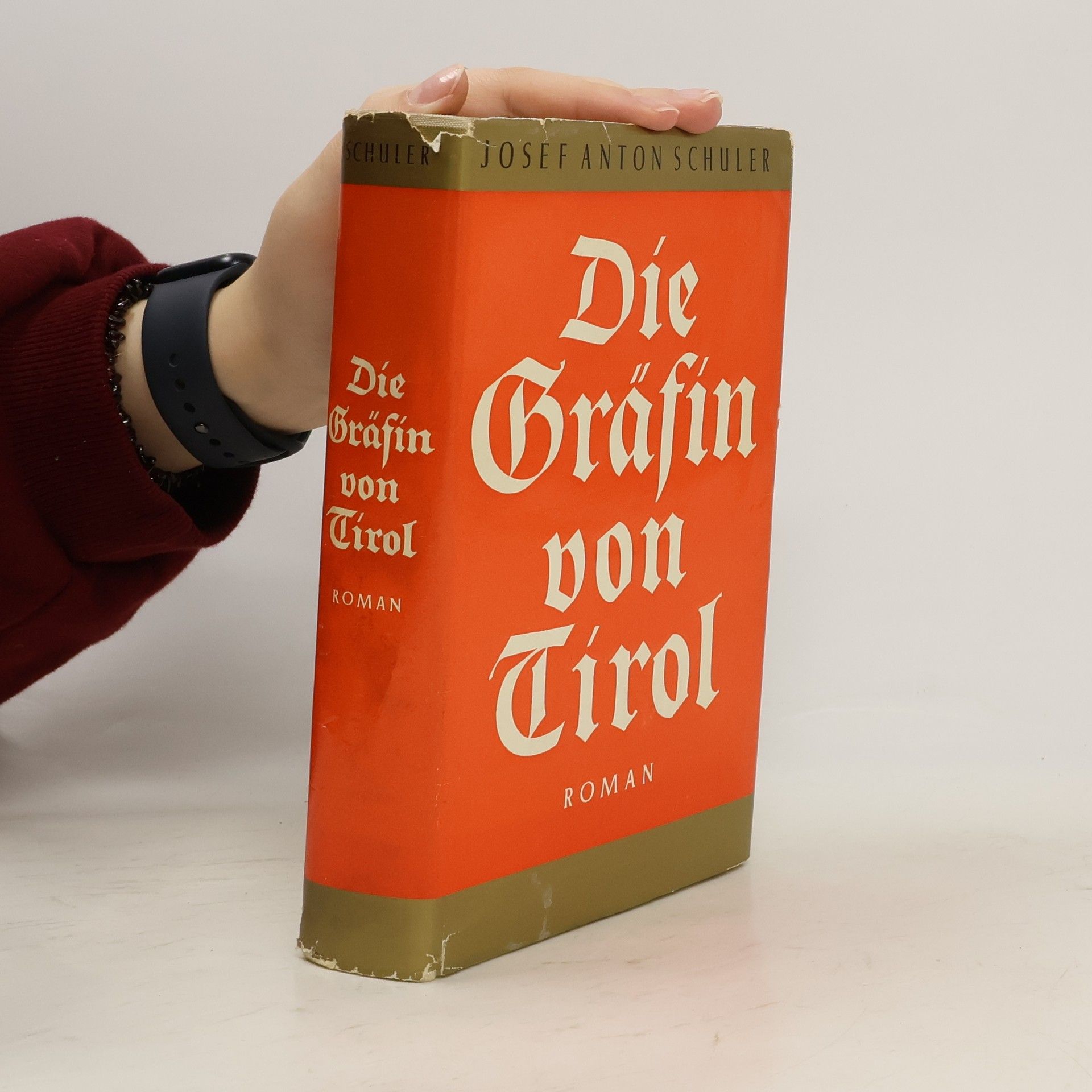 Die Gräfin von Tirol