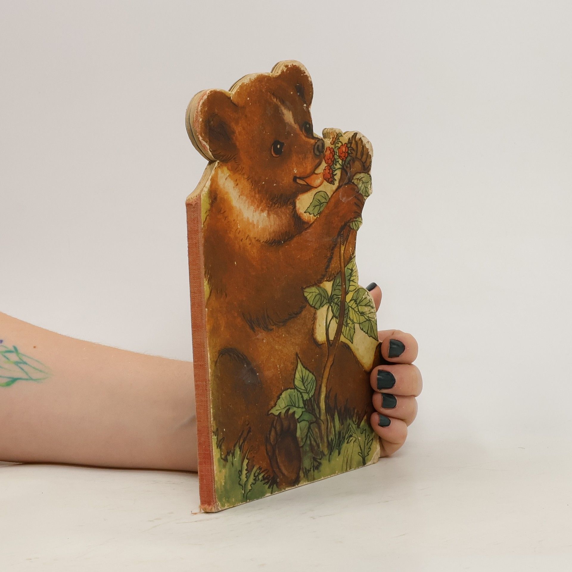 Various authors Medvídek Brumla