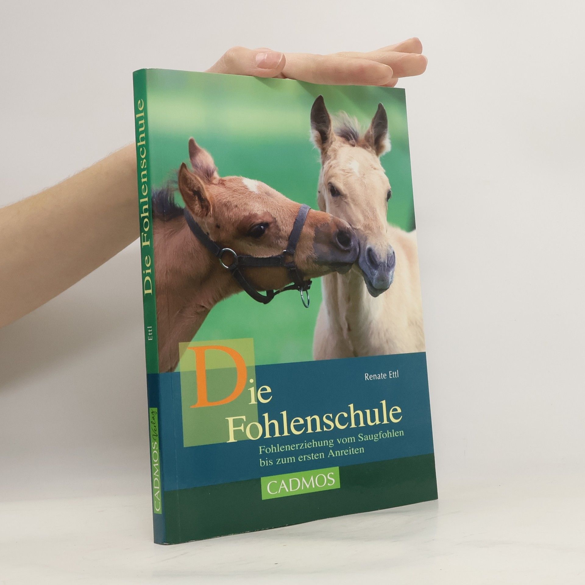 Renate Ettl Die Fohlenschule