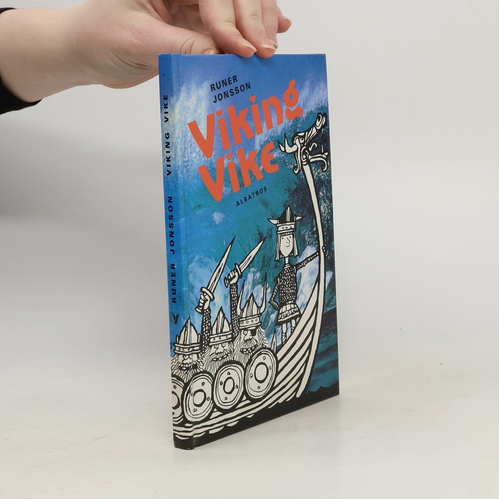 Pavel Rajský Viking Vike