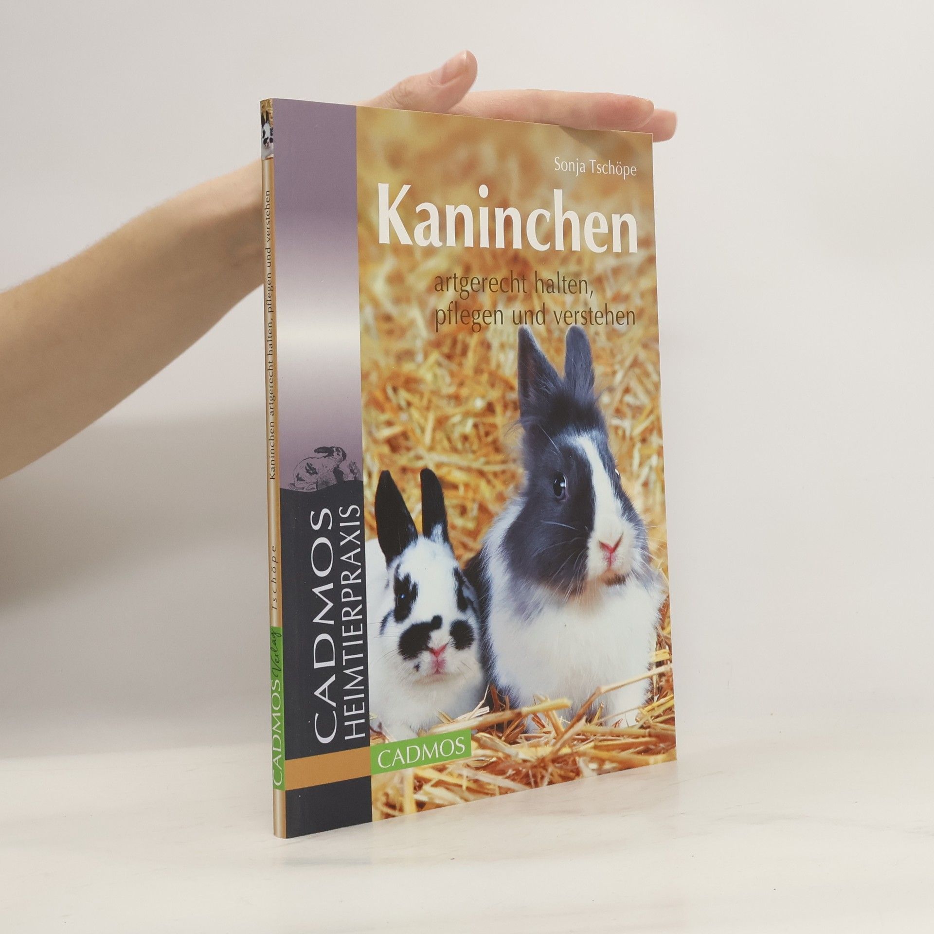 Kaninchen