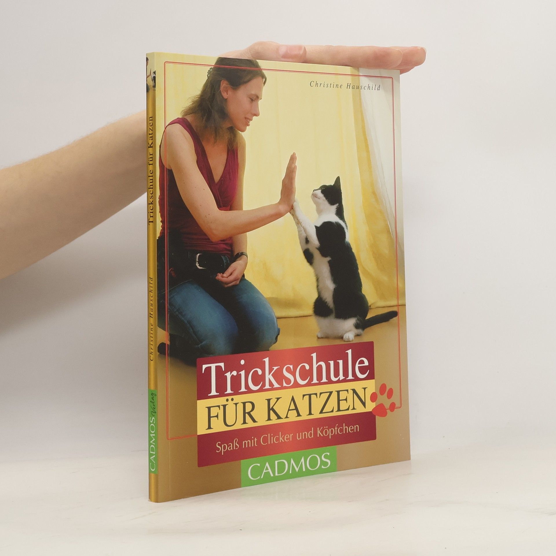 Trickschule für Katzen